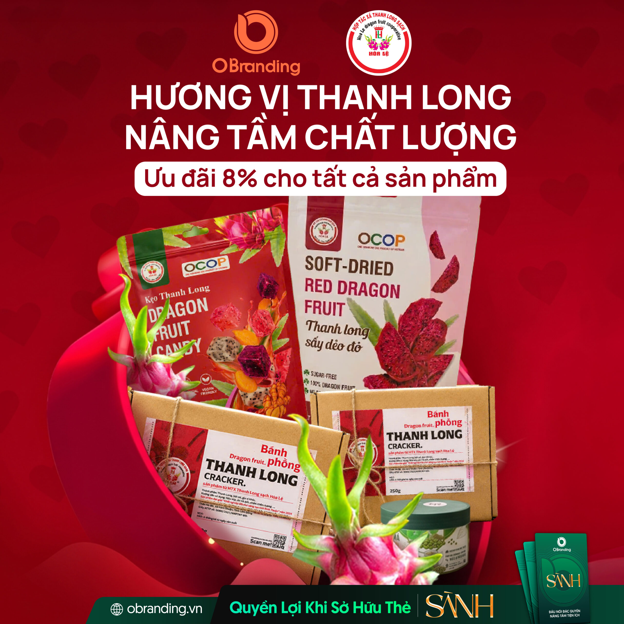 HỢP TÁC XÃ THANH LONG SẠCH HÒA LỆ