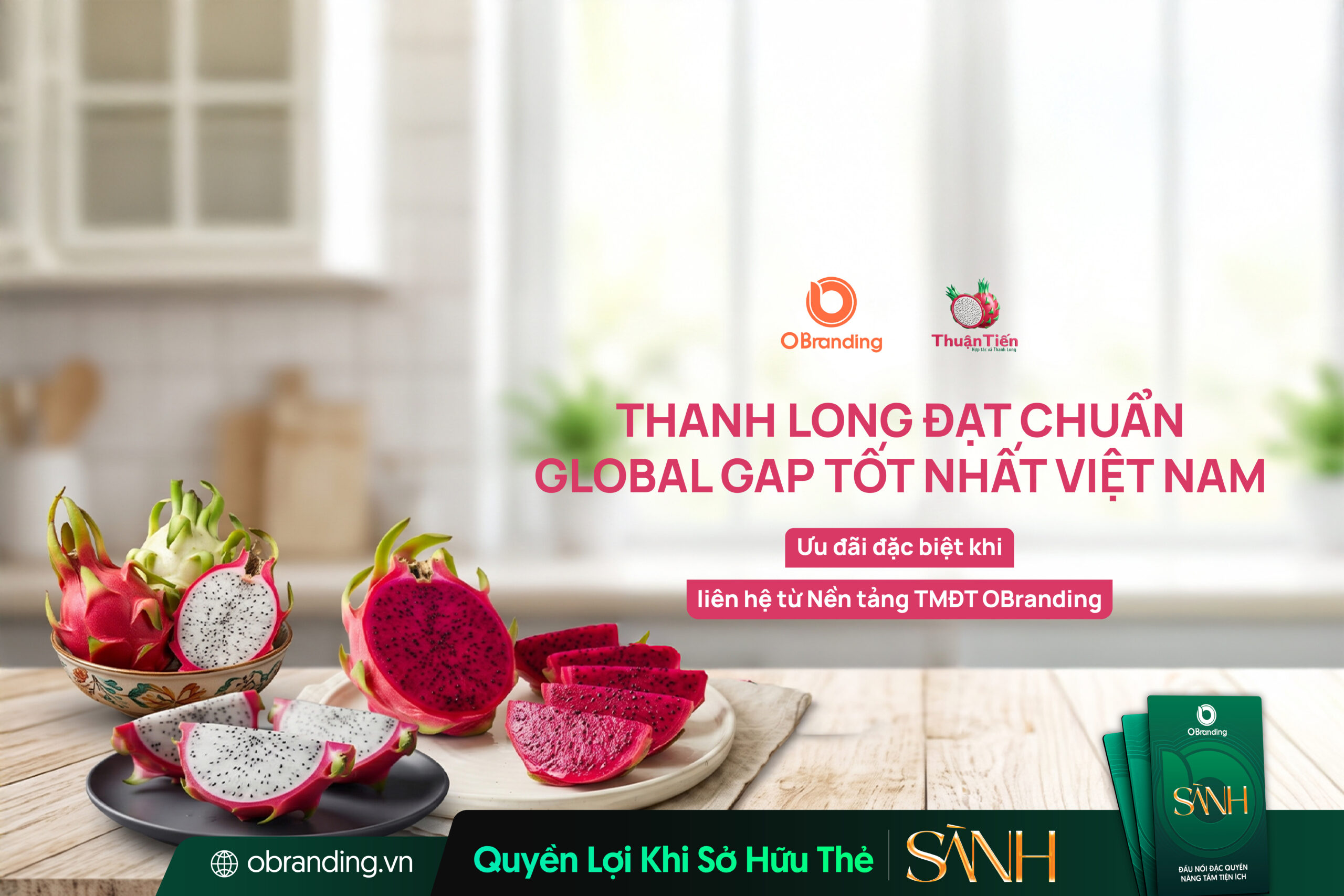 Thanh long Thuận Tiến - Thanh long xuất khẩu