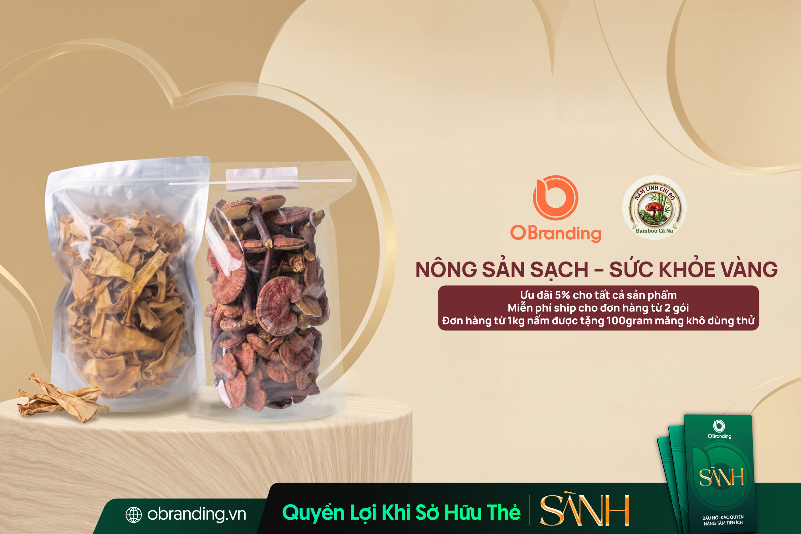 Bamboo - Nông nghiệp và du lịch sinh thái