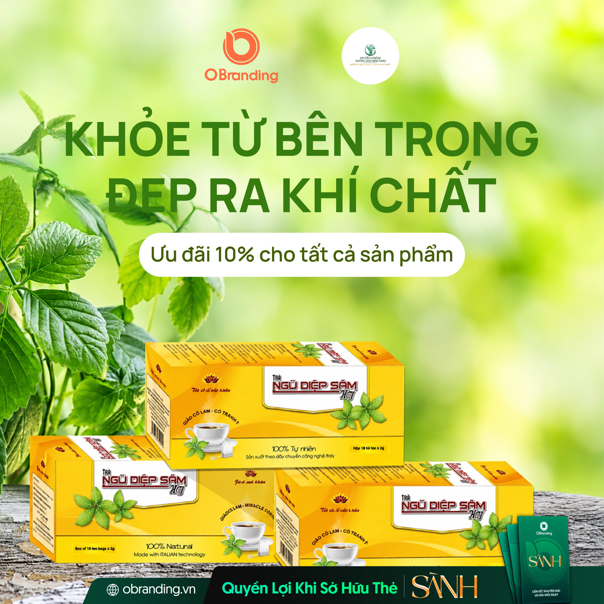 HUYỀN CHÂM DƯỠNG DÁNG MINH THẢO