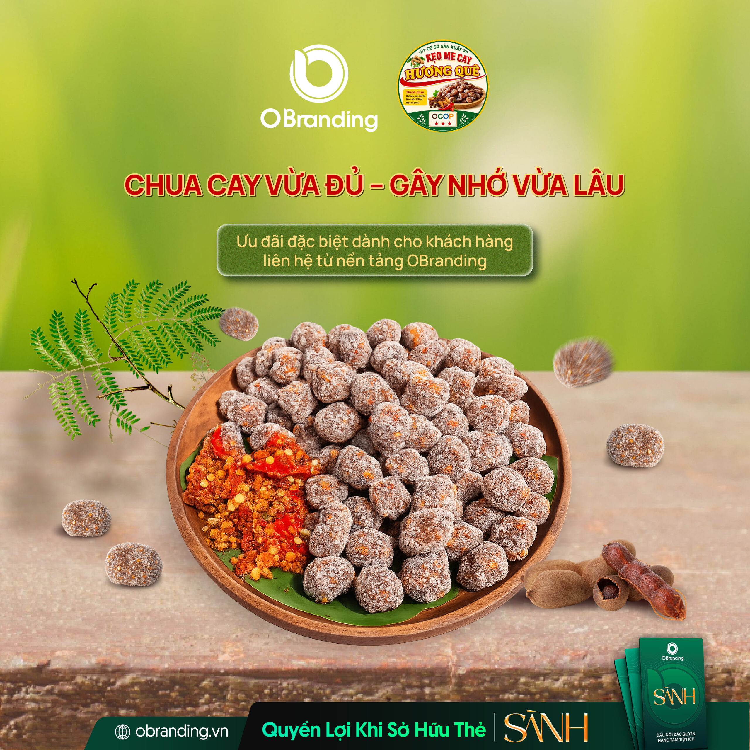 HỘ KINH DOANH CƠ SỞ SẢN XUẤT KẸO HƯƠNG QUÊ