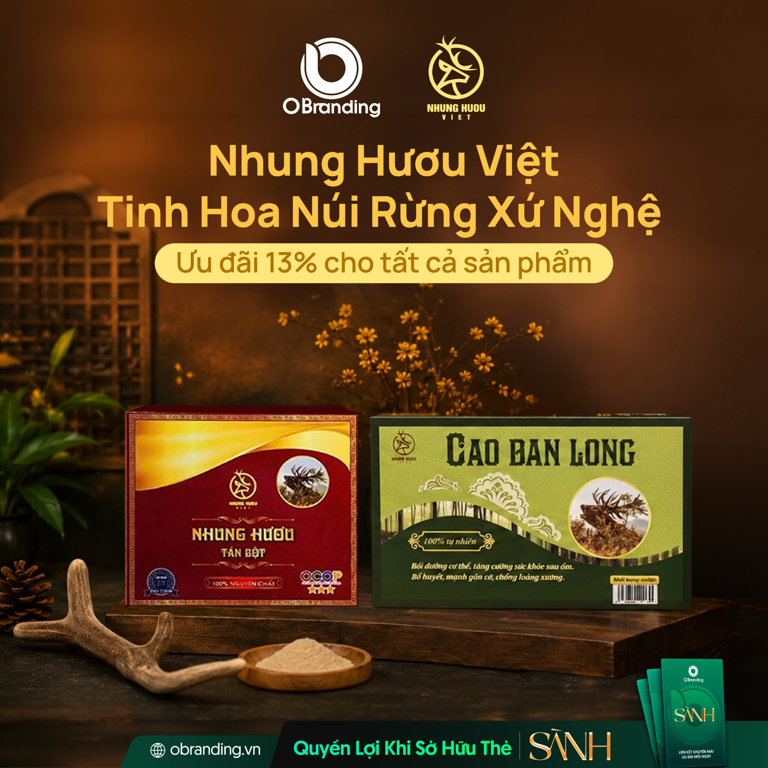 CÔNG TY CỔ PHẦN THƯƠNG MẠI & DỊCH VỤ NHUNG HƯƠU VIỆT