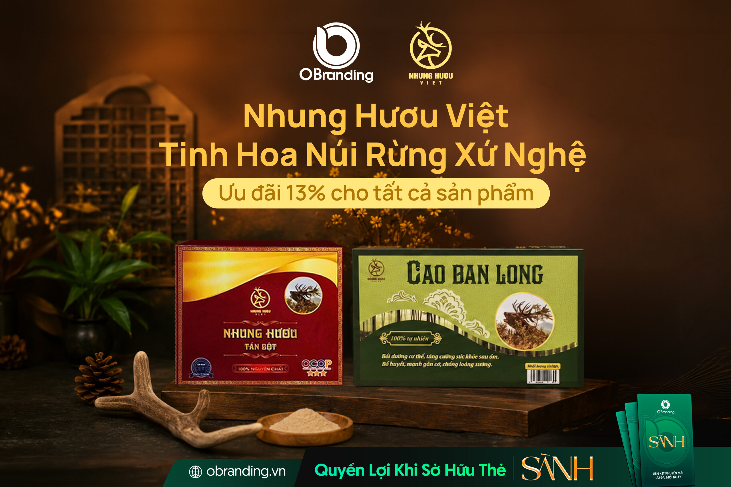 CÔNG TY CỔ PHẦN THƯƠNG MẠI & DỊCH VỤ NHUNG HƯƠU VIỆT