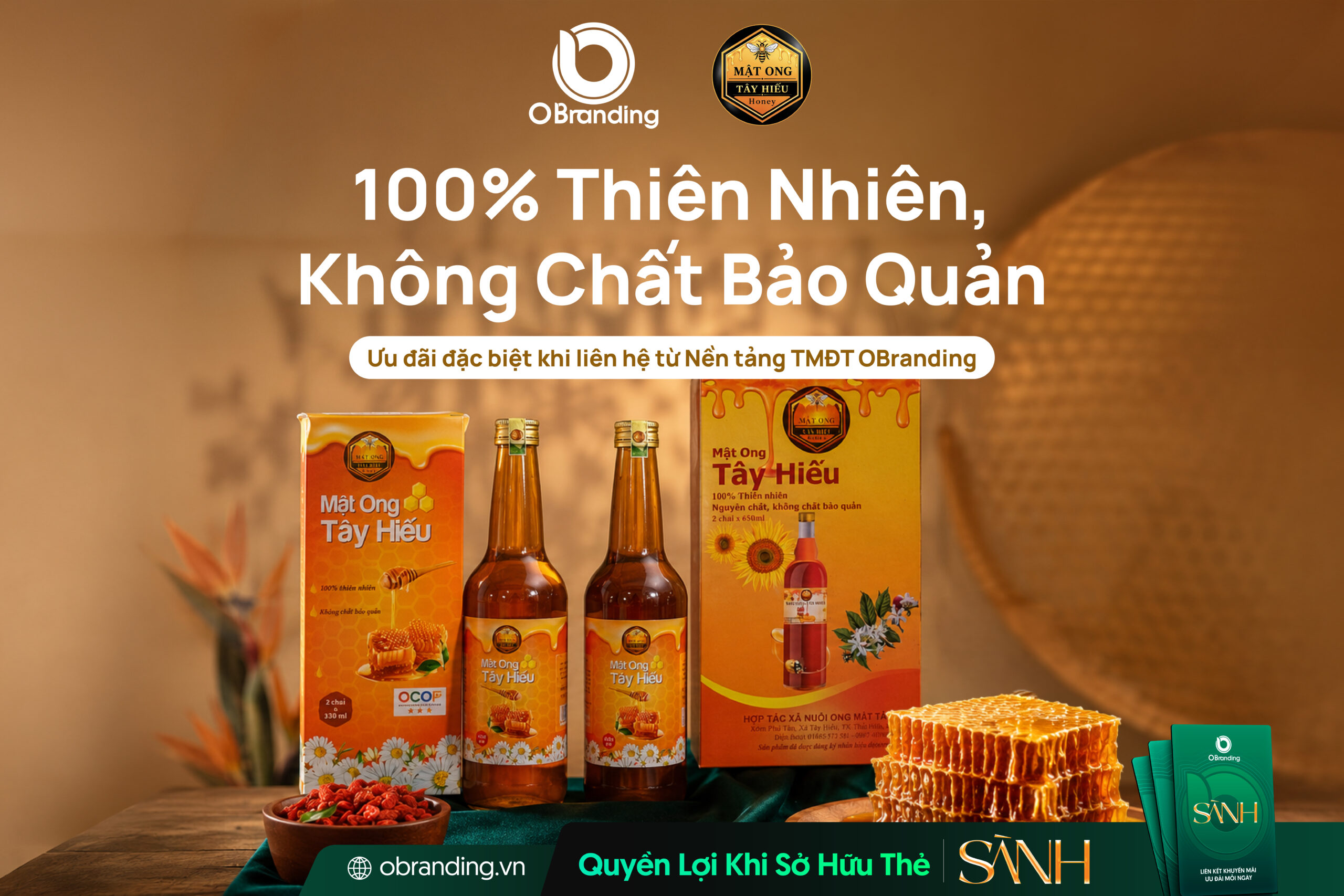 NUÔI ONG MẬT TÂY HIẾU-04