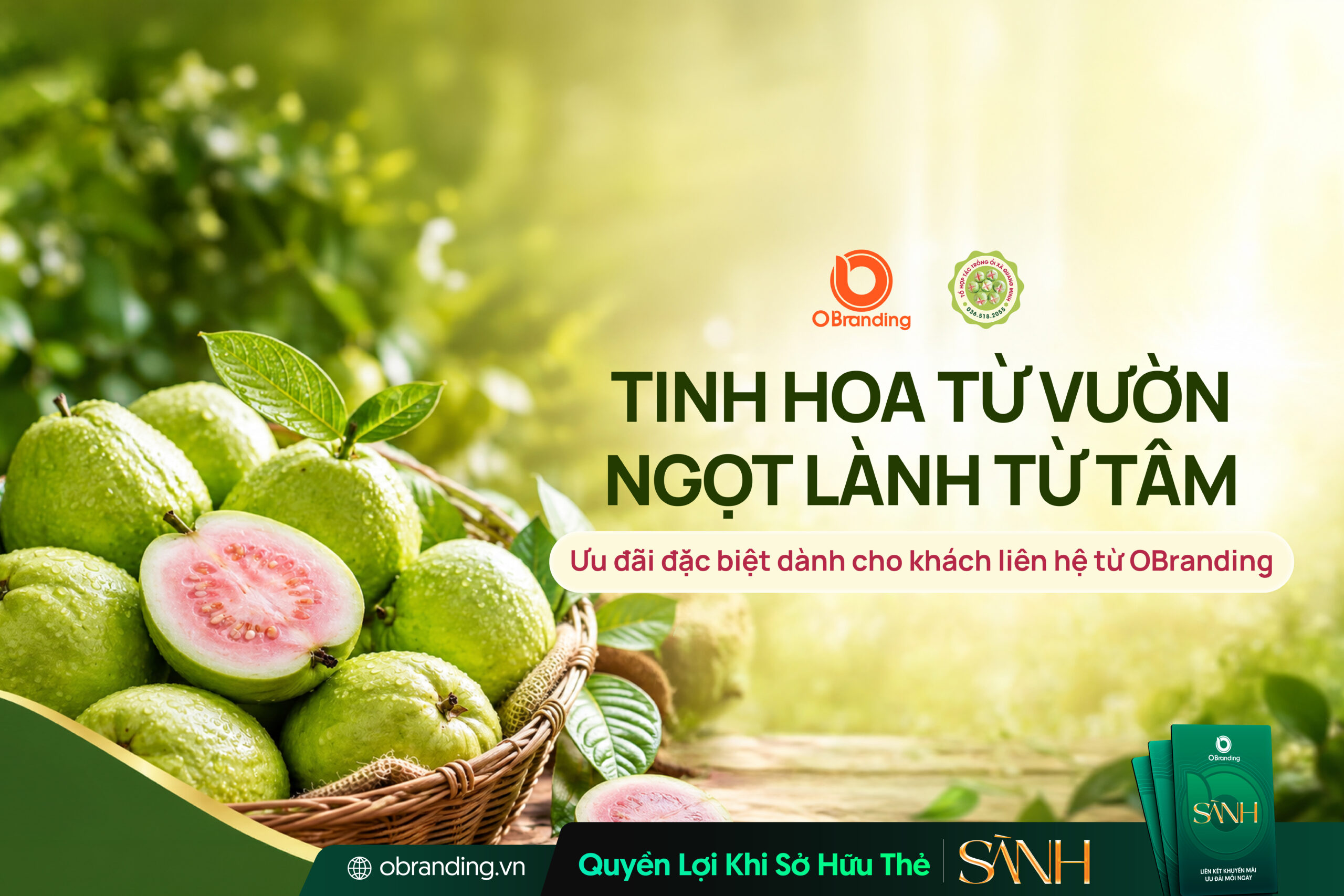 TỔ HỢP TÁC ỔI QUANG MINH