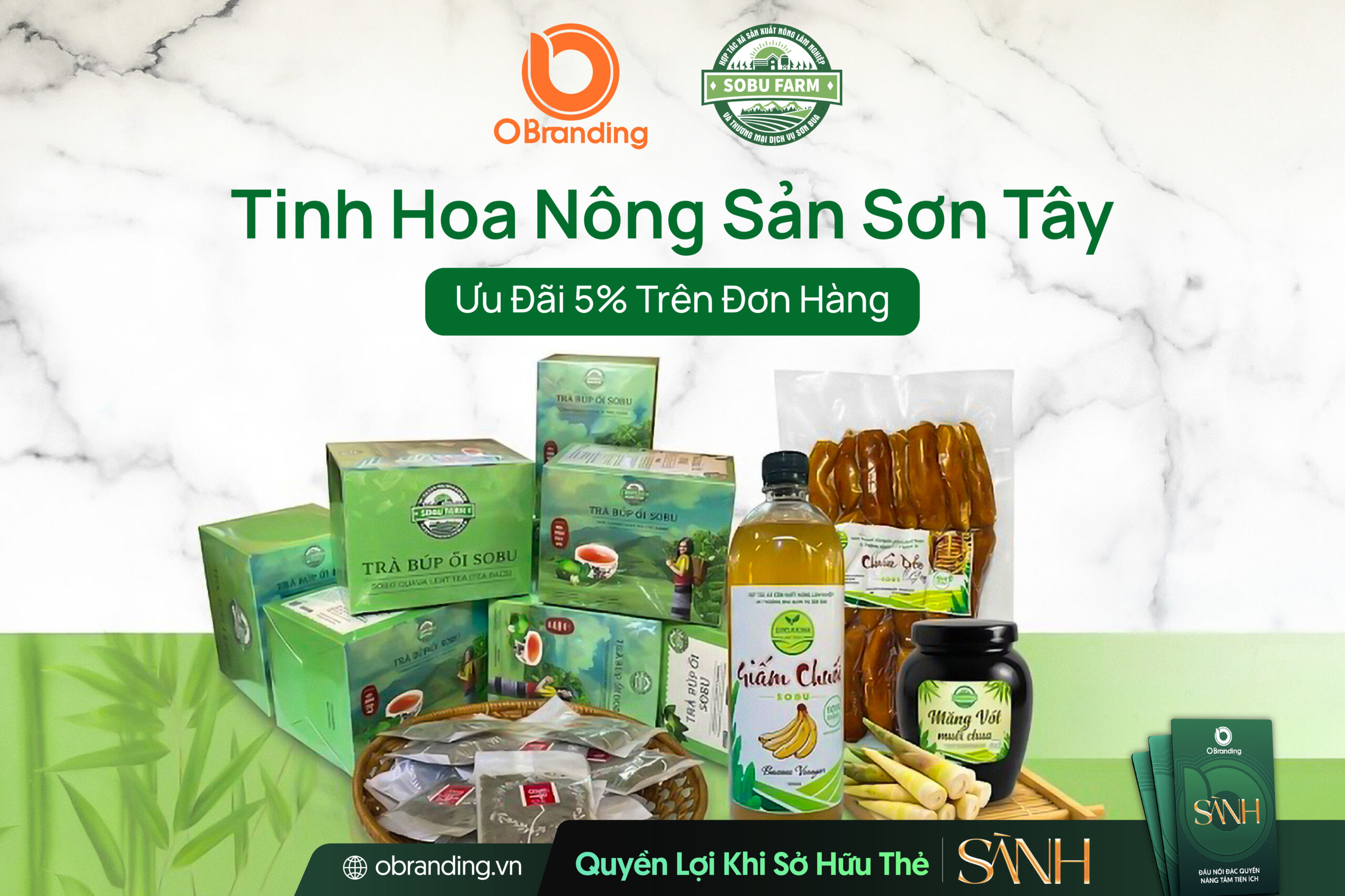 HỢP TÁC XÃ SƠN BUA