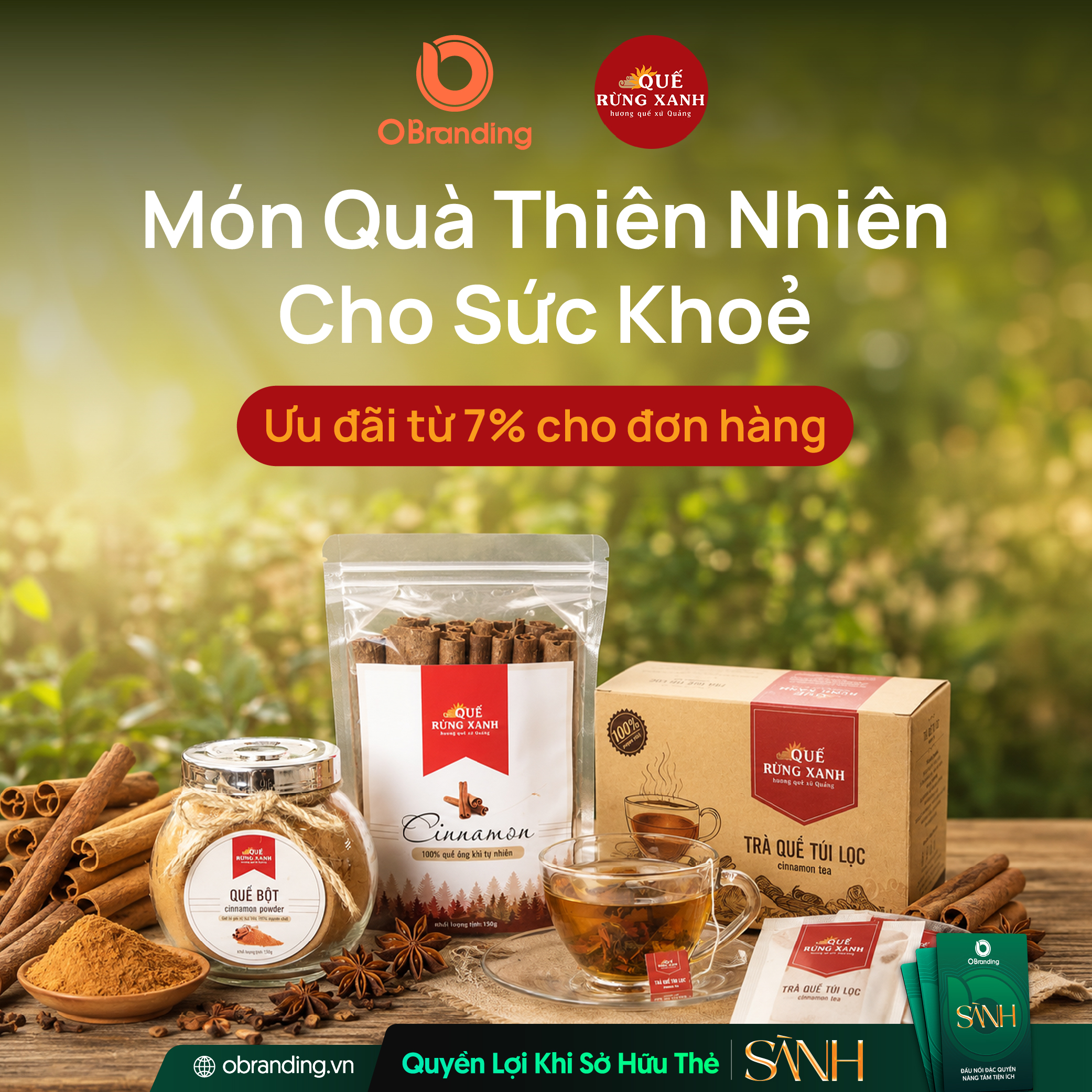 QUẾ RỪNG XANH