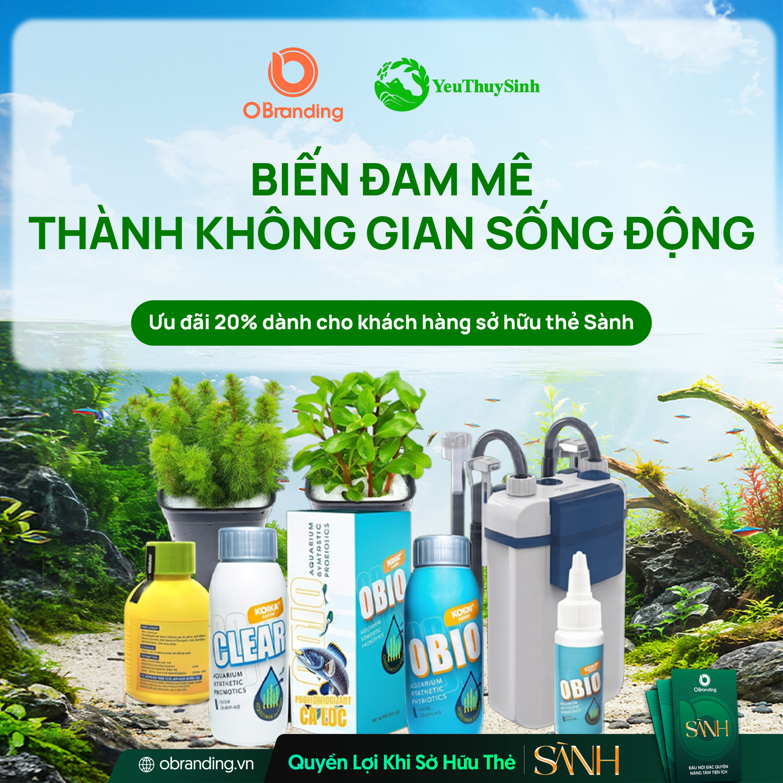 HỘ KINH DOANH YÊU THỦY SINH