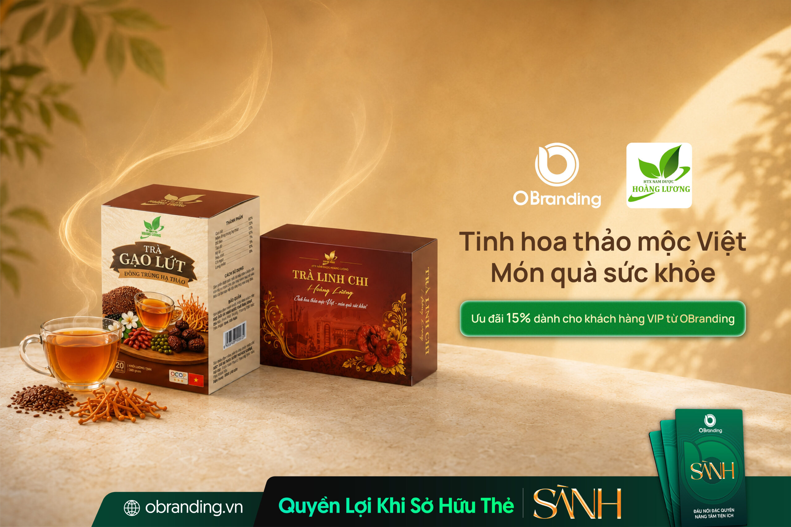 Nam Dược Hoàng Lương - Sản phẩm dược liệu