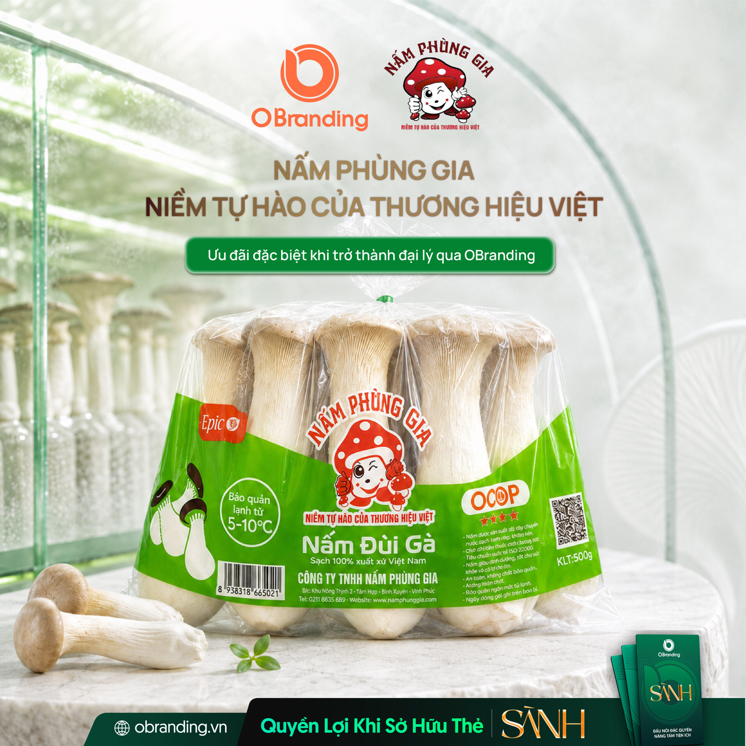 CÔNG TY TNHH NẤM PHÙNG GIA