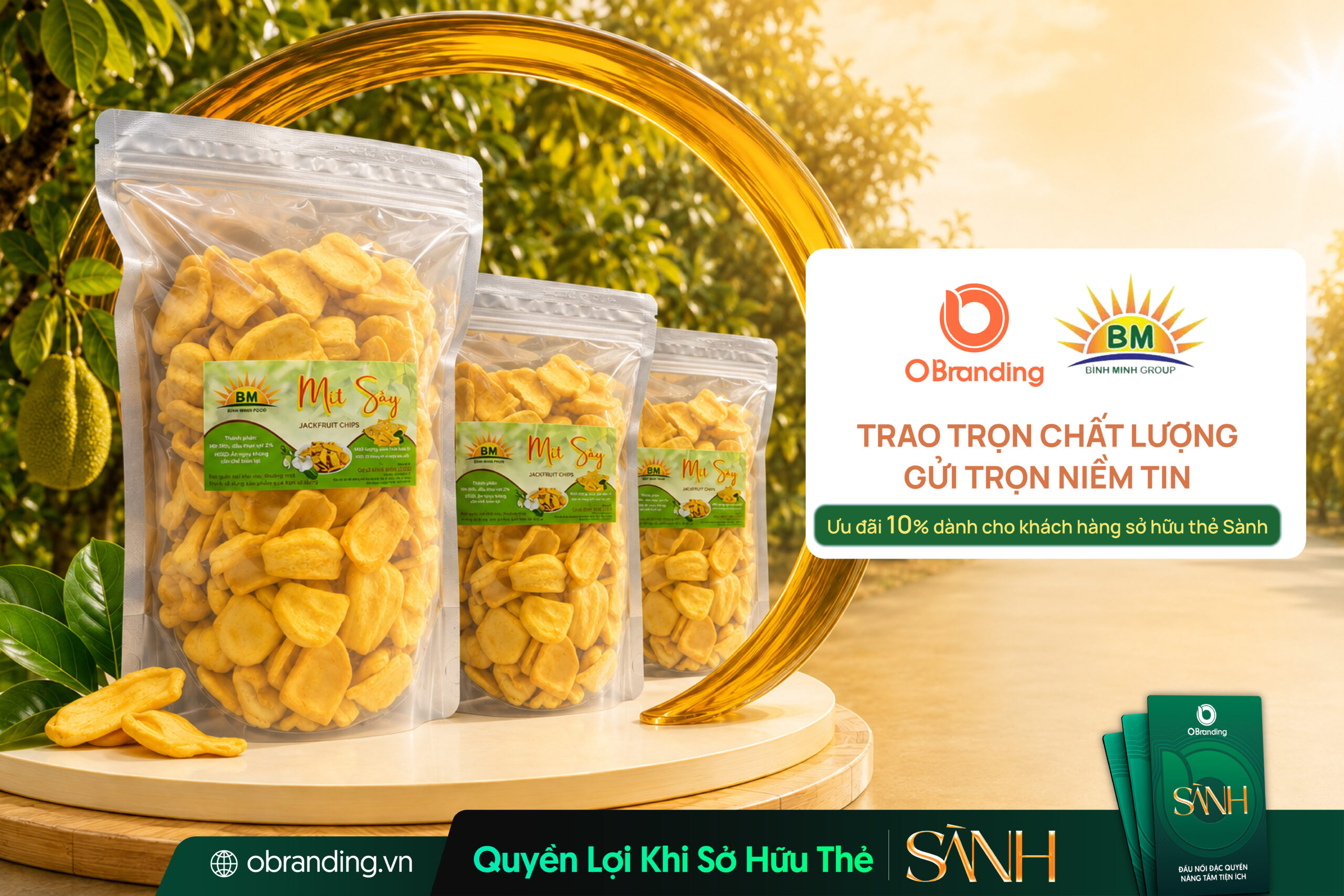 Bình Minh Food - Mít sấy từ An Giang