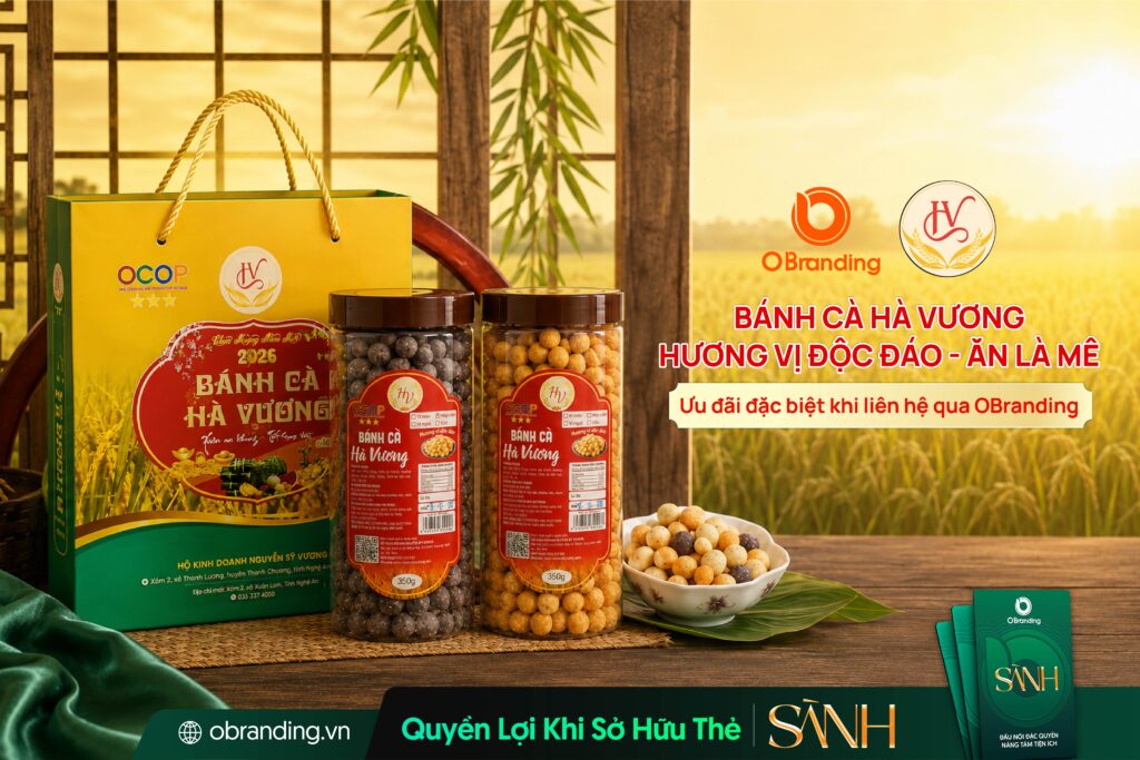 HỘ KINH DOANH NGUYỄN SỸ VƯƠNG