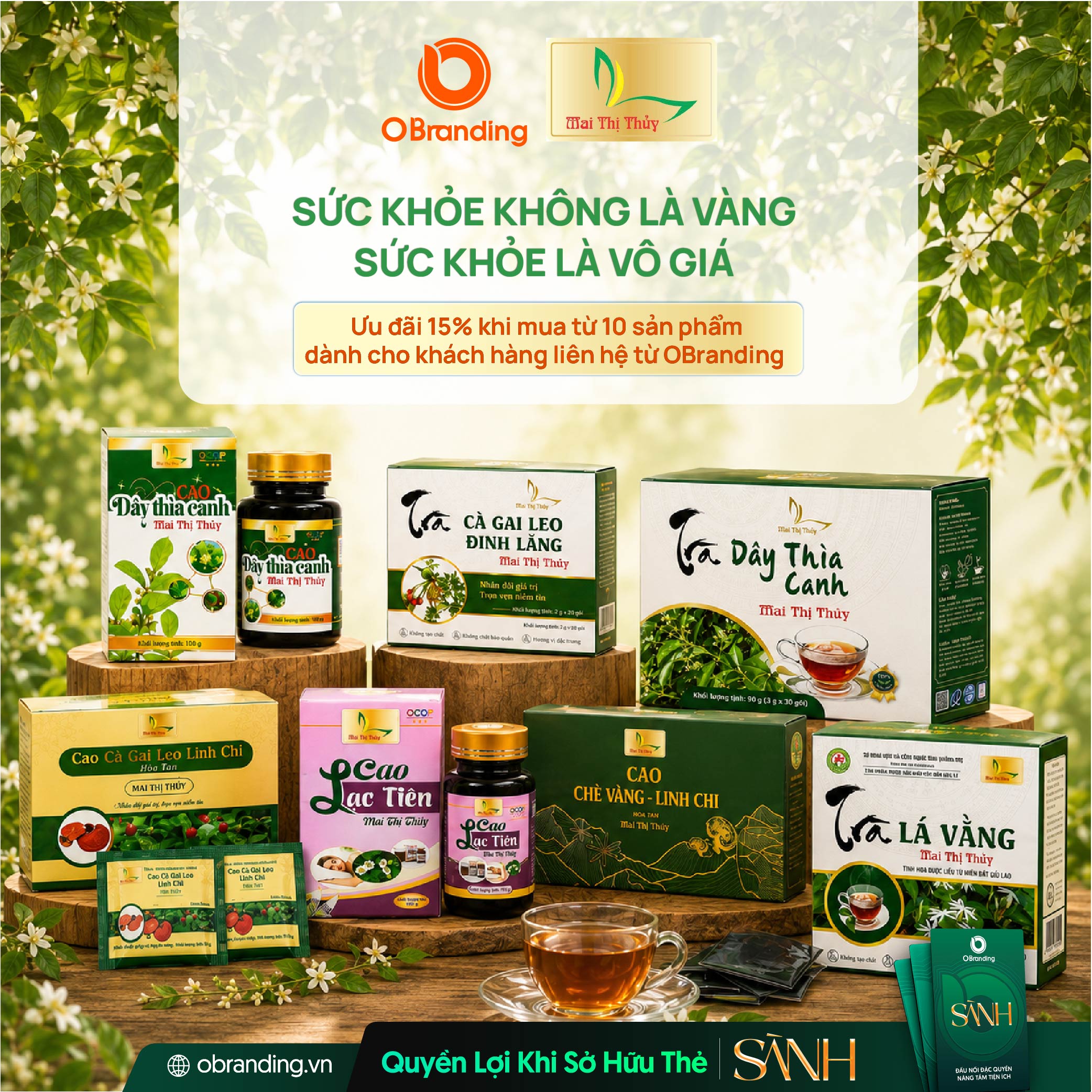 CÔNG TY TNHH CAO DƯỢC LIỆU ĐỊNH SƠN MAI THỊ THỦY