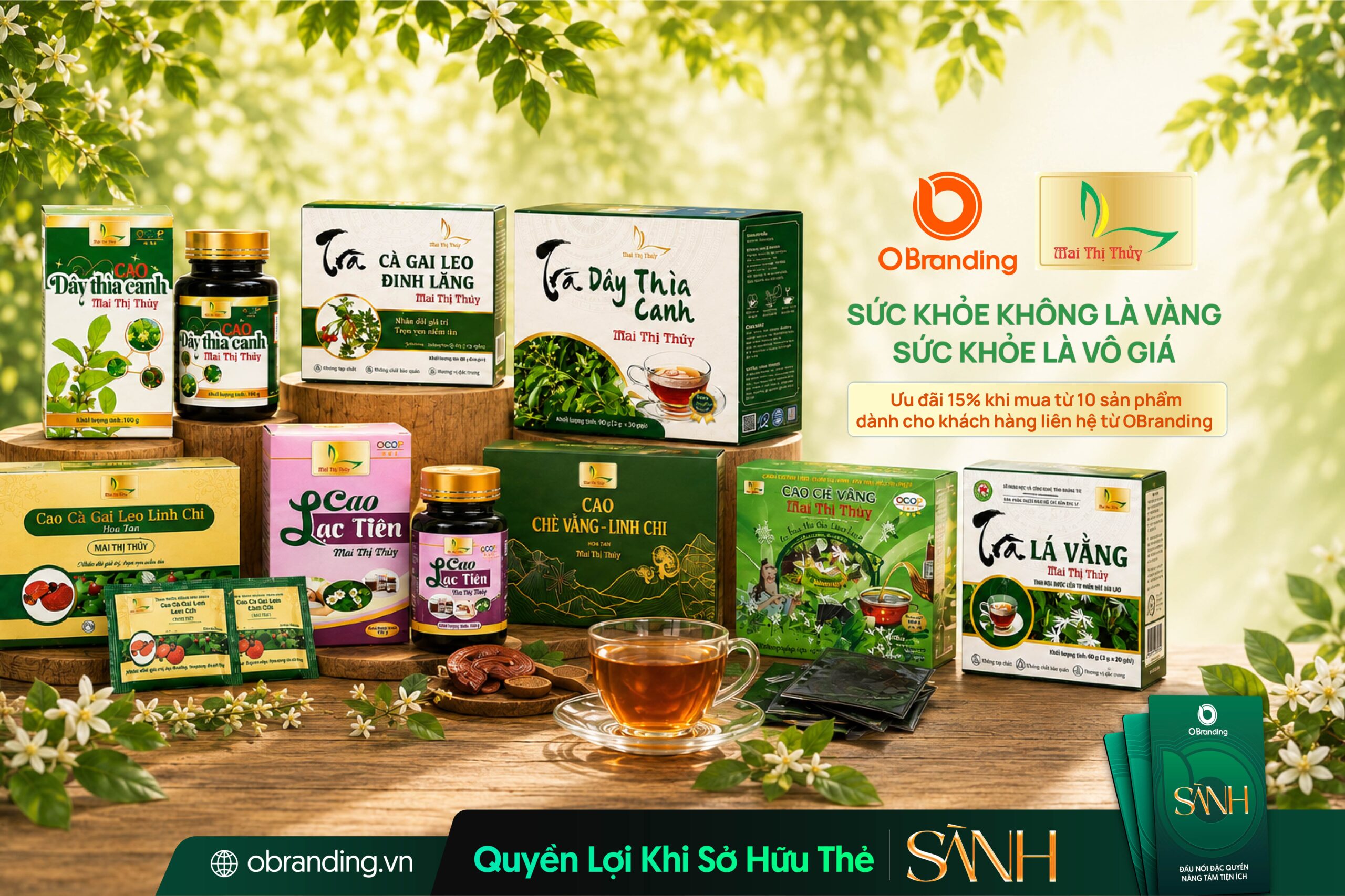 CÔNG TY TNHH CAO DƯỢC LIỆU ĐỊNH SƠN MAI THỊ THỦY
