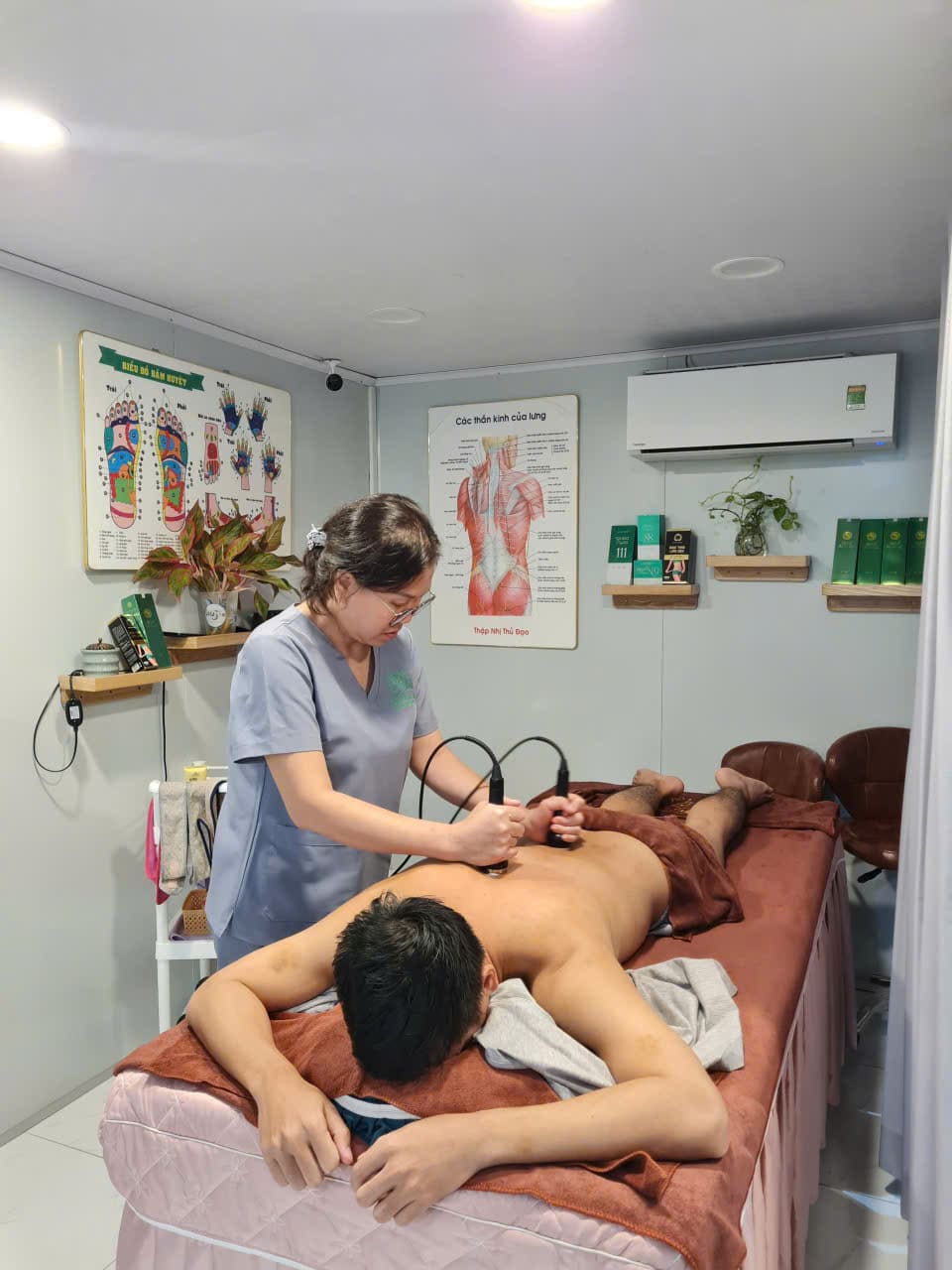 THẨM MỸ THANH MỘC NHIÊN DƯỠNG SINH NGŨ HÀNH