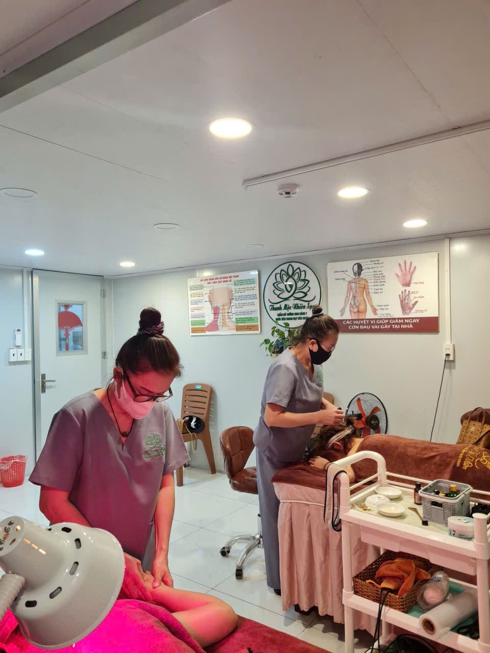 THẨM MỸ THANH MỘC NHIÊN DƯỠNG SINH NGŨ HÀNH