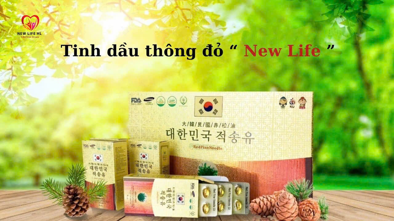CÔNG TY TNHH CUỘC SỐNG MỚI HL