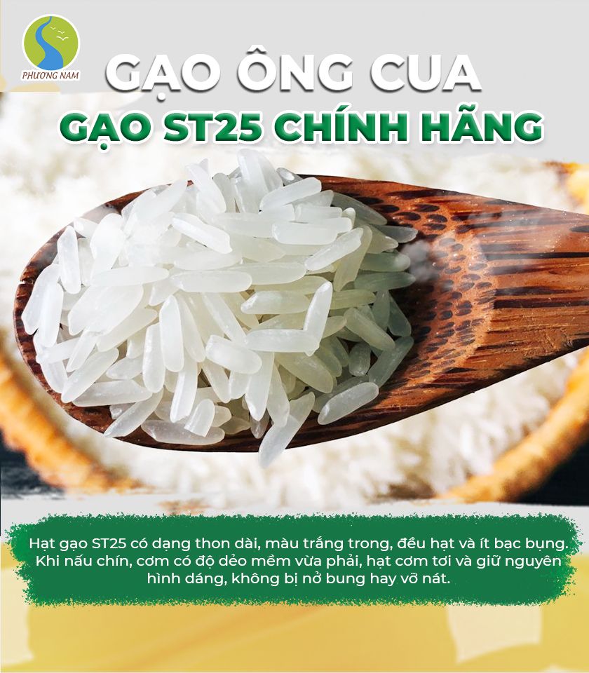 CÔNG TY CỔ PHẦN LƯƠNG THỰC PHƯƠNG NAM