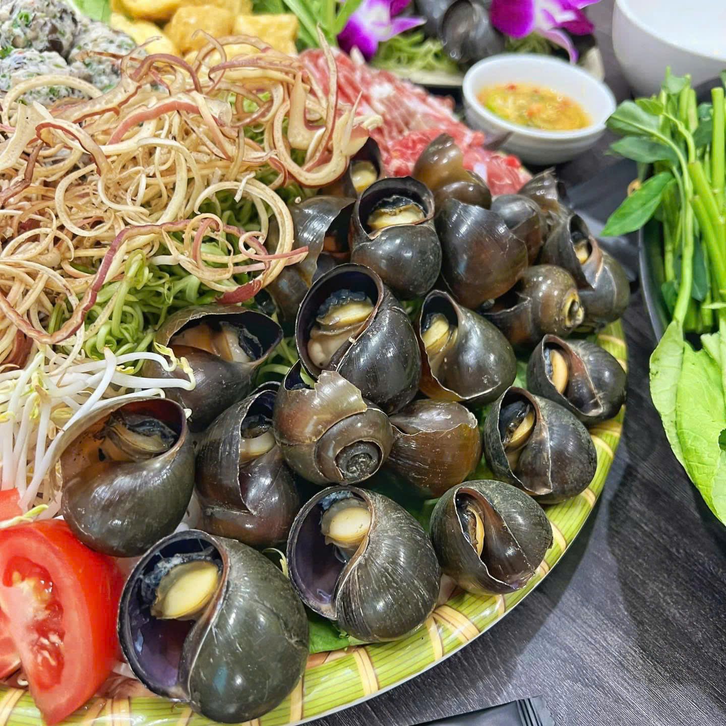 CÔNG TY TNHH NÔNG NGHIỆP HỮU CƠ THIÊN BẢO