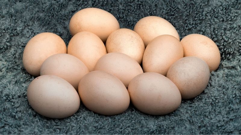 CÔNG TY CỔ PHẦN THƯƠNG MẠI VÀ ĐẦU TƯ KHANG CƯỜNG