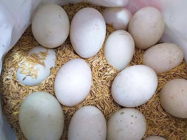 CÔNG TY CỔ PHẦN THƯƠNG MẠI VÀ ĐẦU TƯ KHANG CƯỜNG