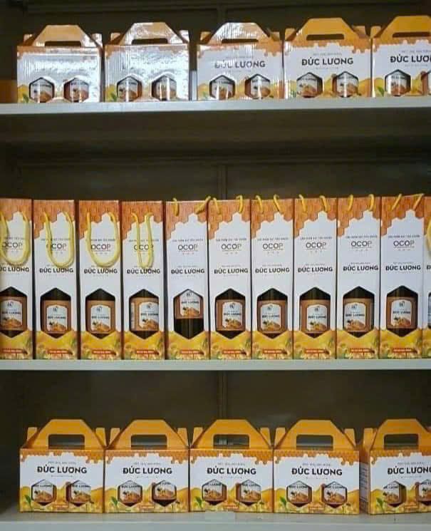 HỢP TÁC XÃ HỢP THÀNH BÌNH LƯƠNG