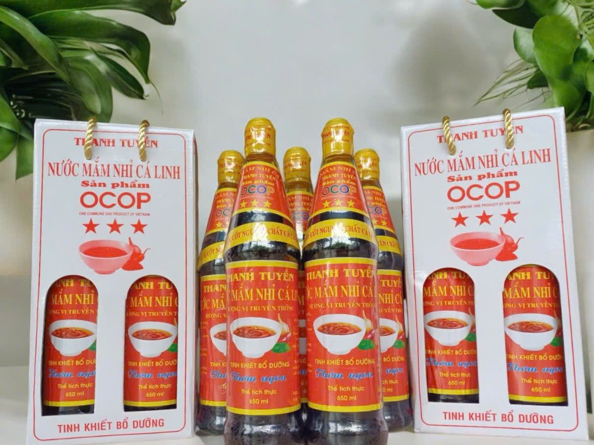 HỘ KINH DOANH CƠ SỞ SẢN XUẤT NƯỚC MẮM THANH TUYỀN