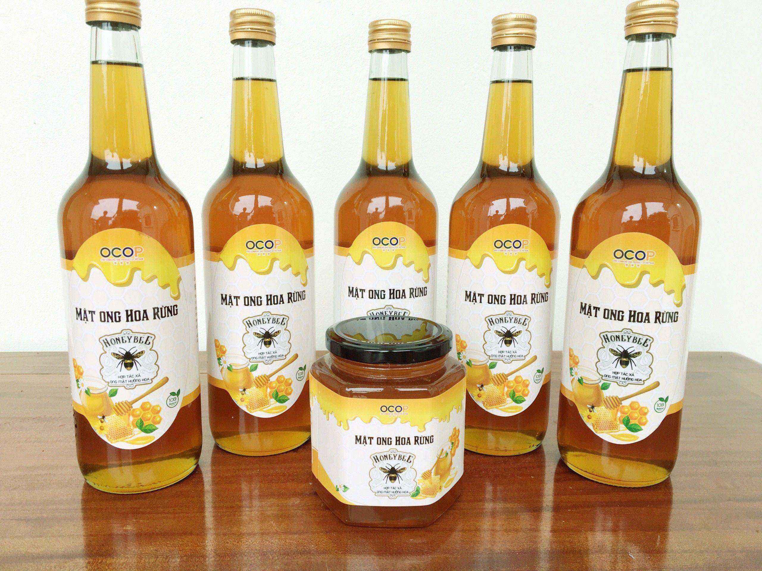 HỢP TÁC XÃ ONG MẬT HƯỞNG HOA