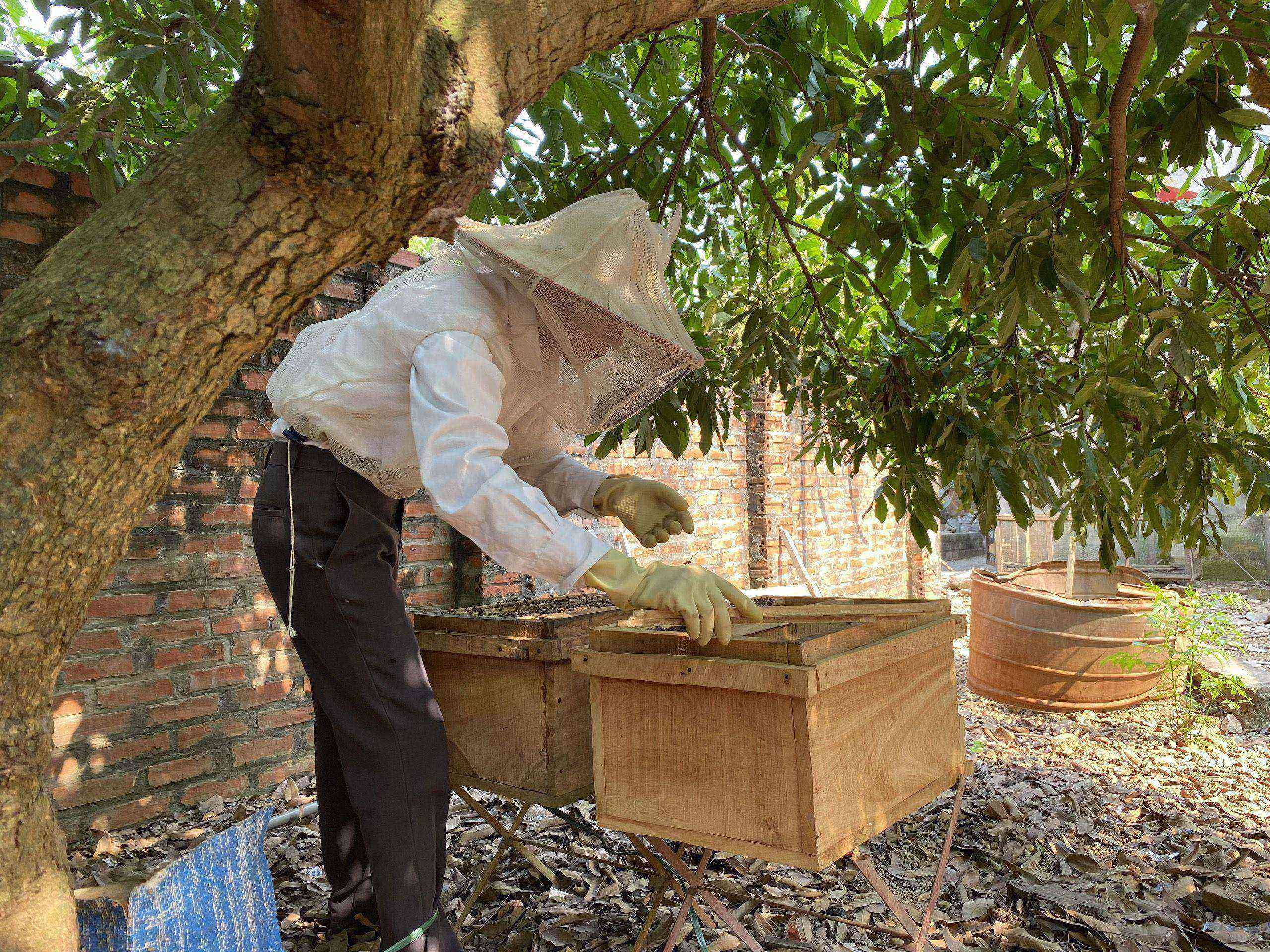 HỢP TÁC XÃ ONG MẬT HƯỞNG HOA