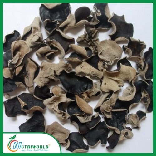 Nutriworld - Nấm mèo và nông sản Việt
