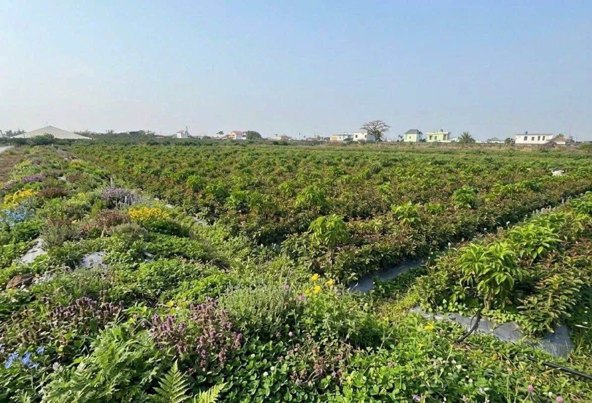 Nam Dược Hoàng Lương - Sản phẩm dược liệu