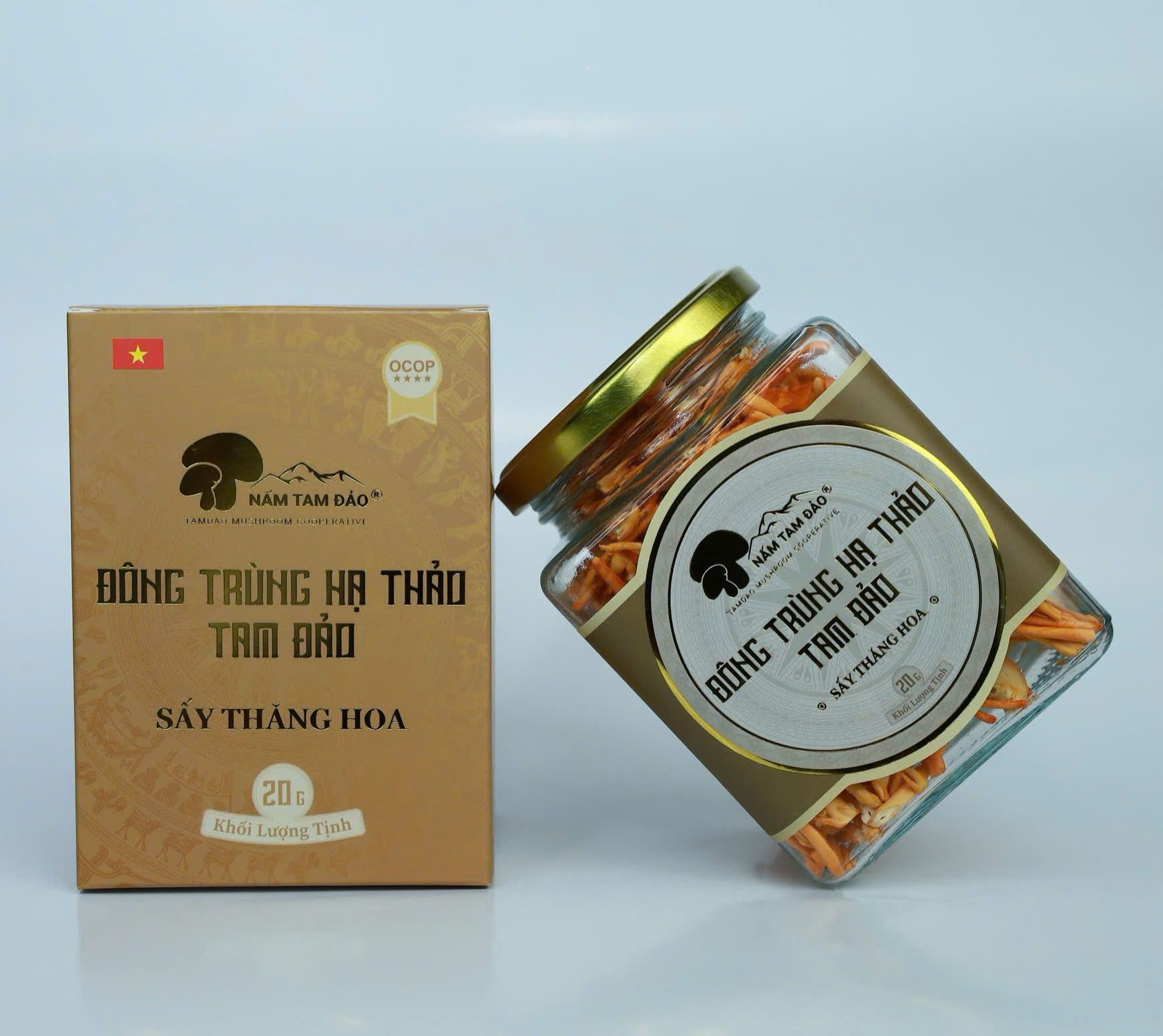HỢP TÁC XÃ NẤM TAM ĐẢO