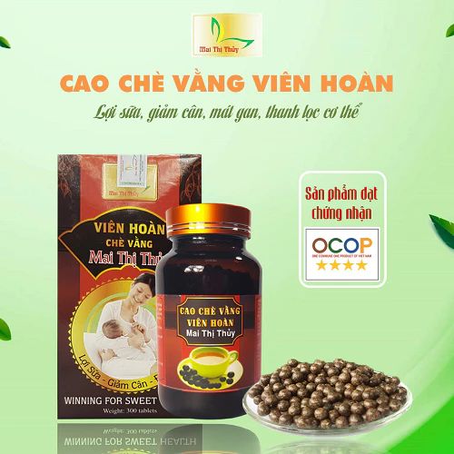 CÔNG TY TNHH CAO DƯỢC LIỆU ĐỊNH SƠN MAI THỊ THỦY