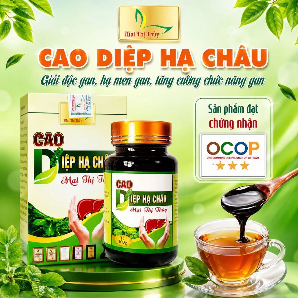 CÔNG TY TNHH CAO DƯỢC LIỆU ĐỊNH SƠN MAI THỊ THỦY