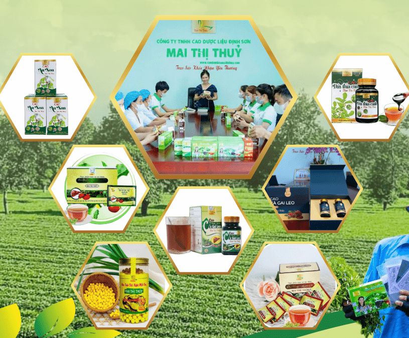 CÔNG TY TNHH CAO DƯỢC LIỆU ĐỊNH SƠN MAI THỊ THỦY