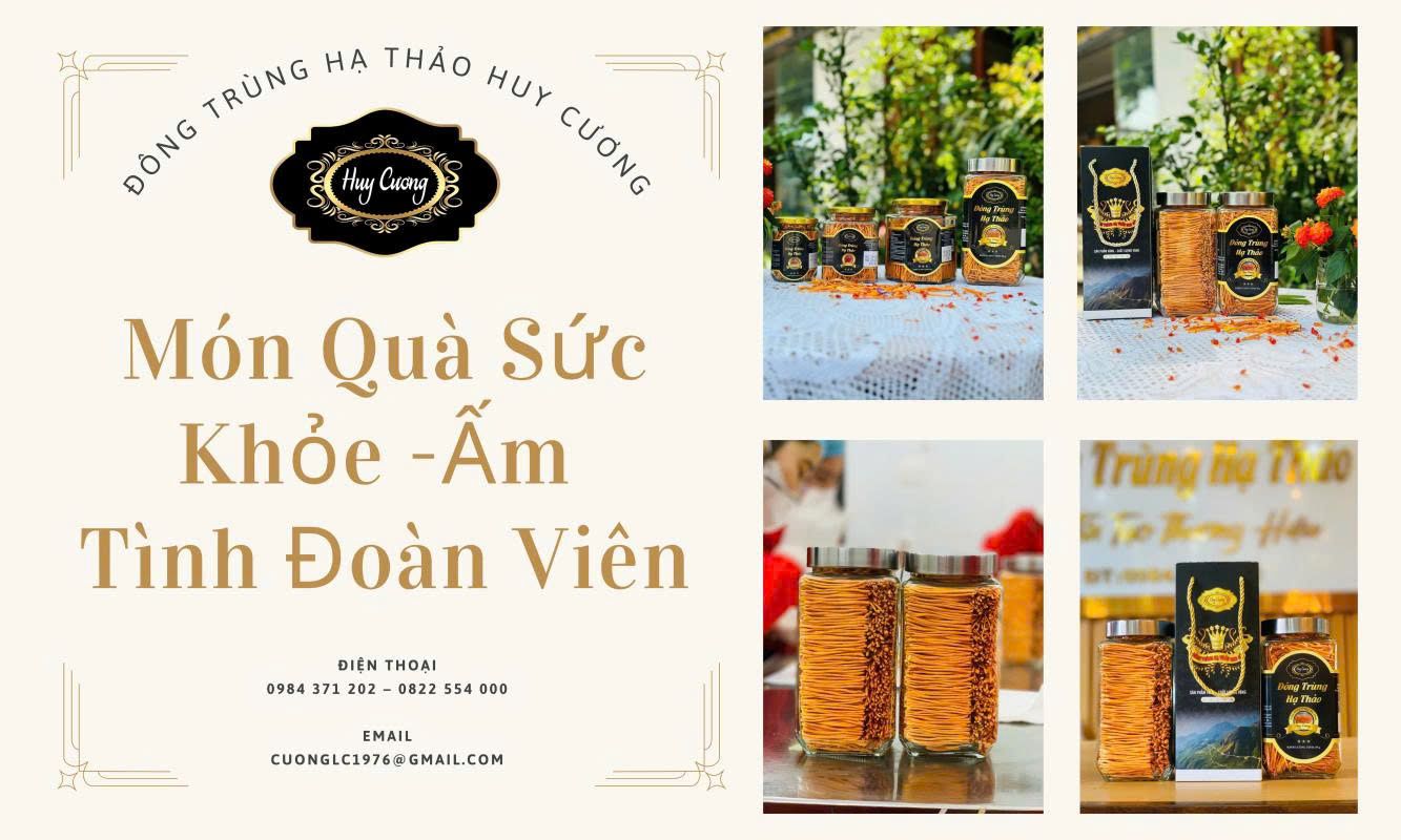 Huy Cương - Đông trùng hạ thảo Lai Châu
