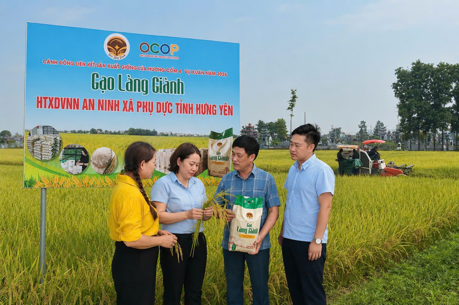 Gạo Làng Giành - Gạo đặc sản Hưng Yên
