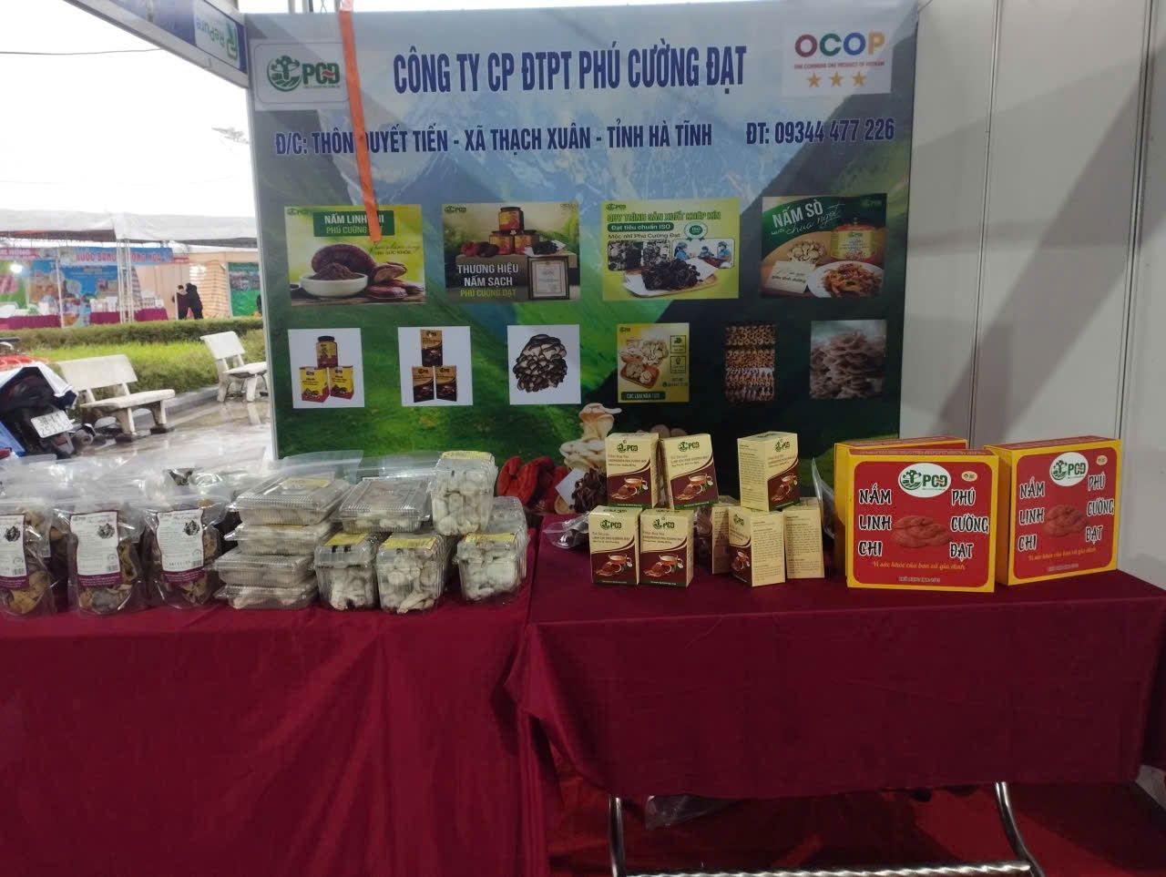 Phú Cường Đạt