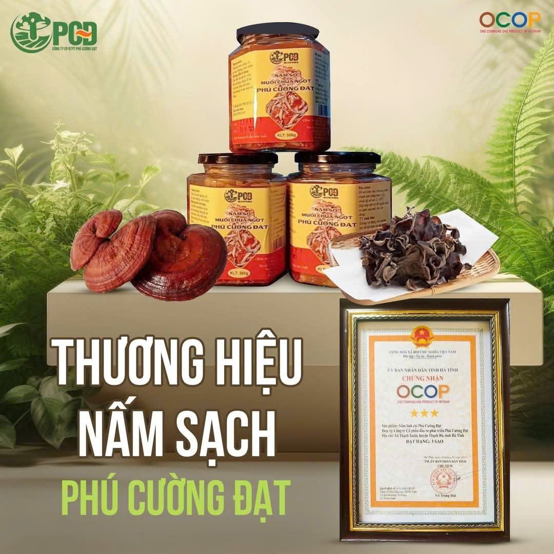 Phú Cường Đạt