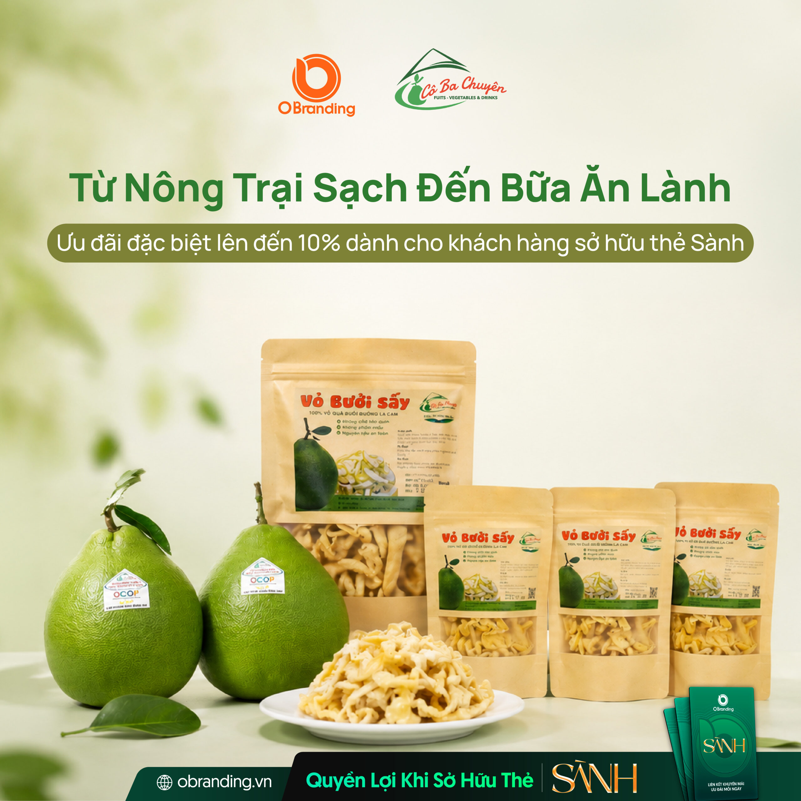 CÔNG TY TNHH CÔ BA CHUYÊN