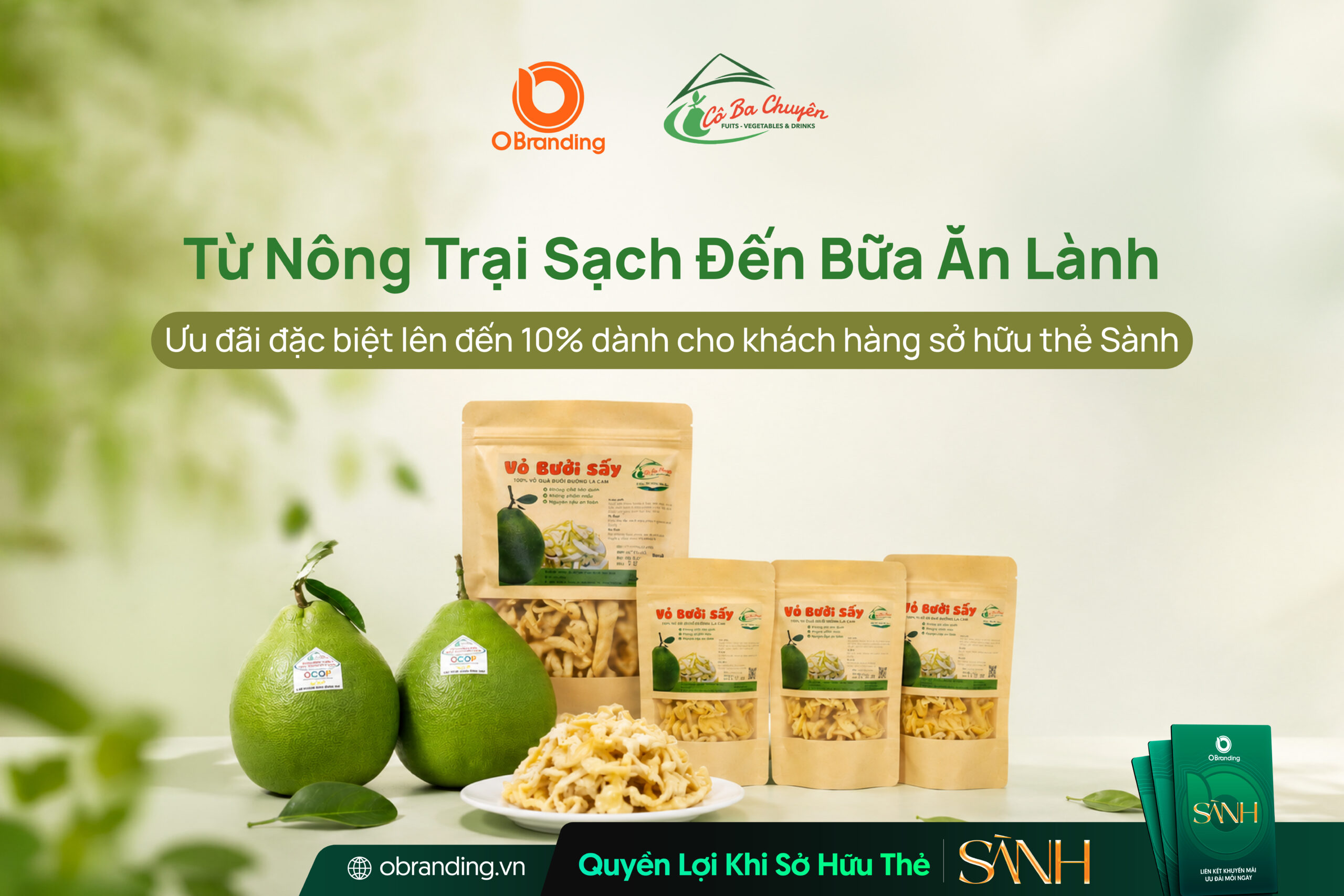 CÔNG TY TNHH CÔ BA CHUYÊN