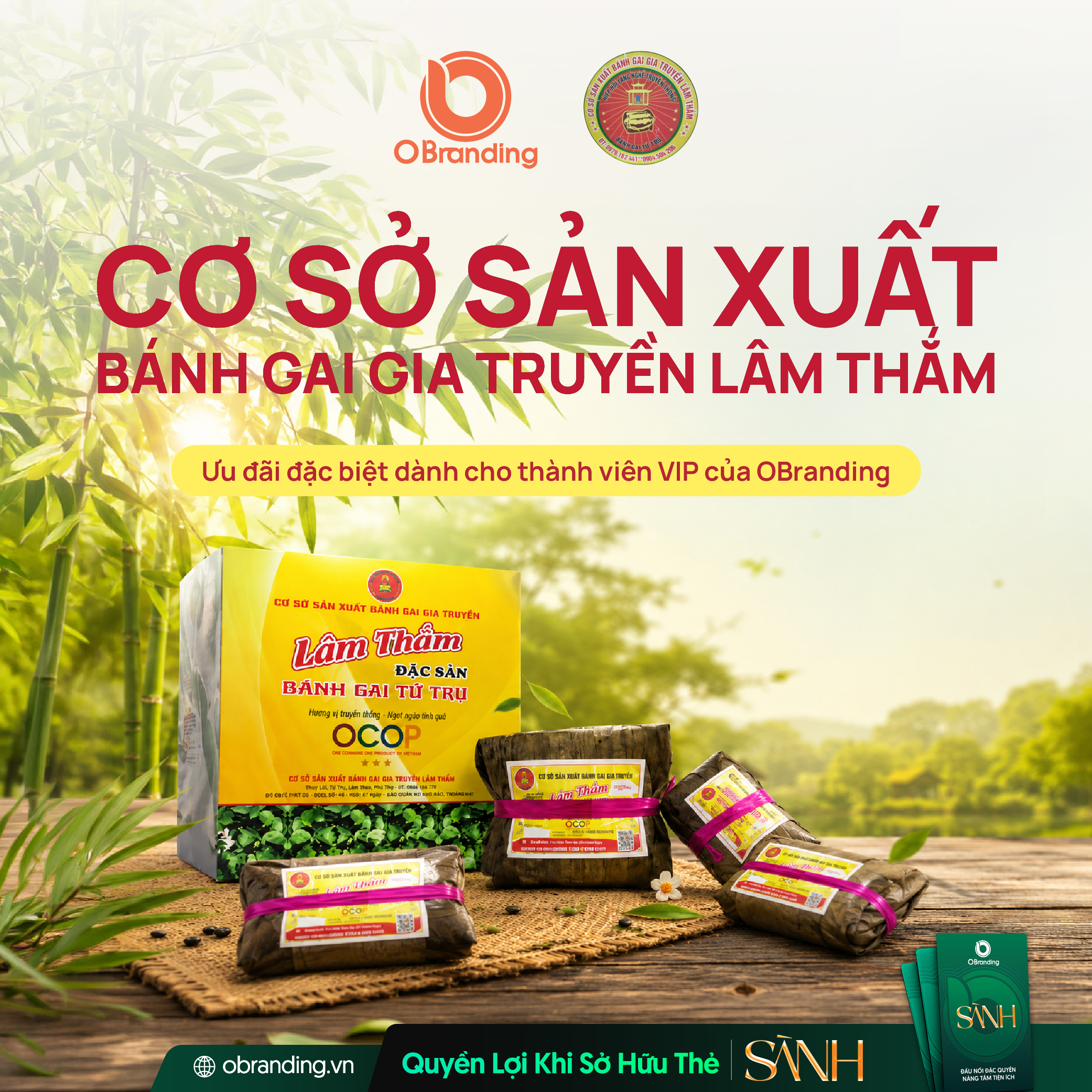 CƠ SỞ SẢN XUẤT BÁNH GAI LÂM THẮM