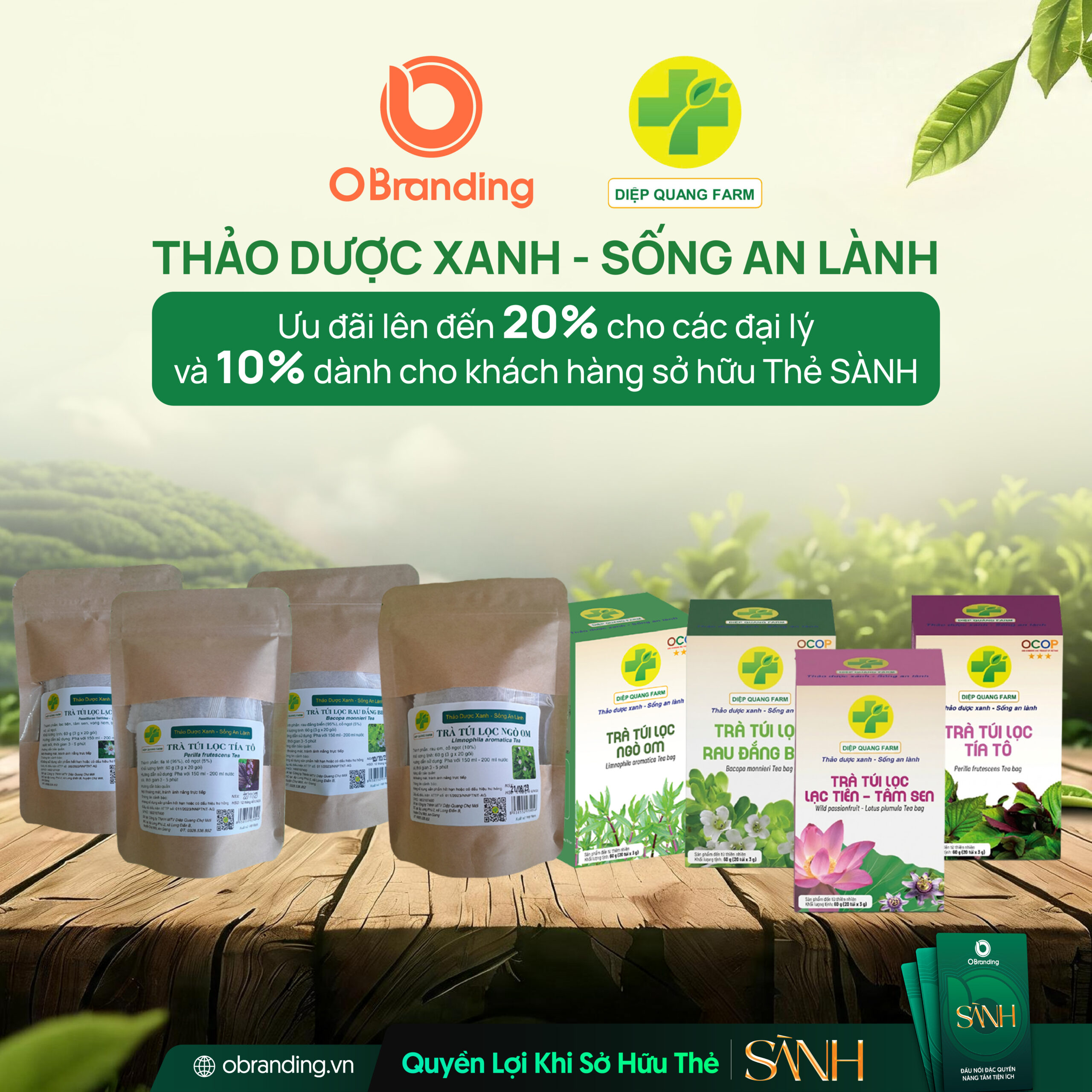 CÔNG TY TNHH MỘT THÀNH VIÊN DIỆP QUANG CHỢ MỚI