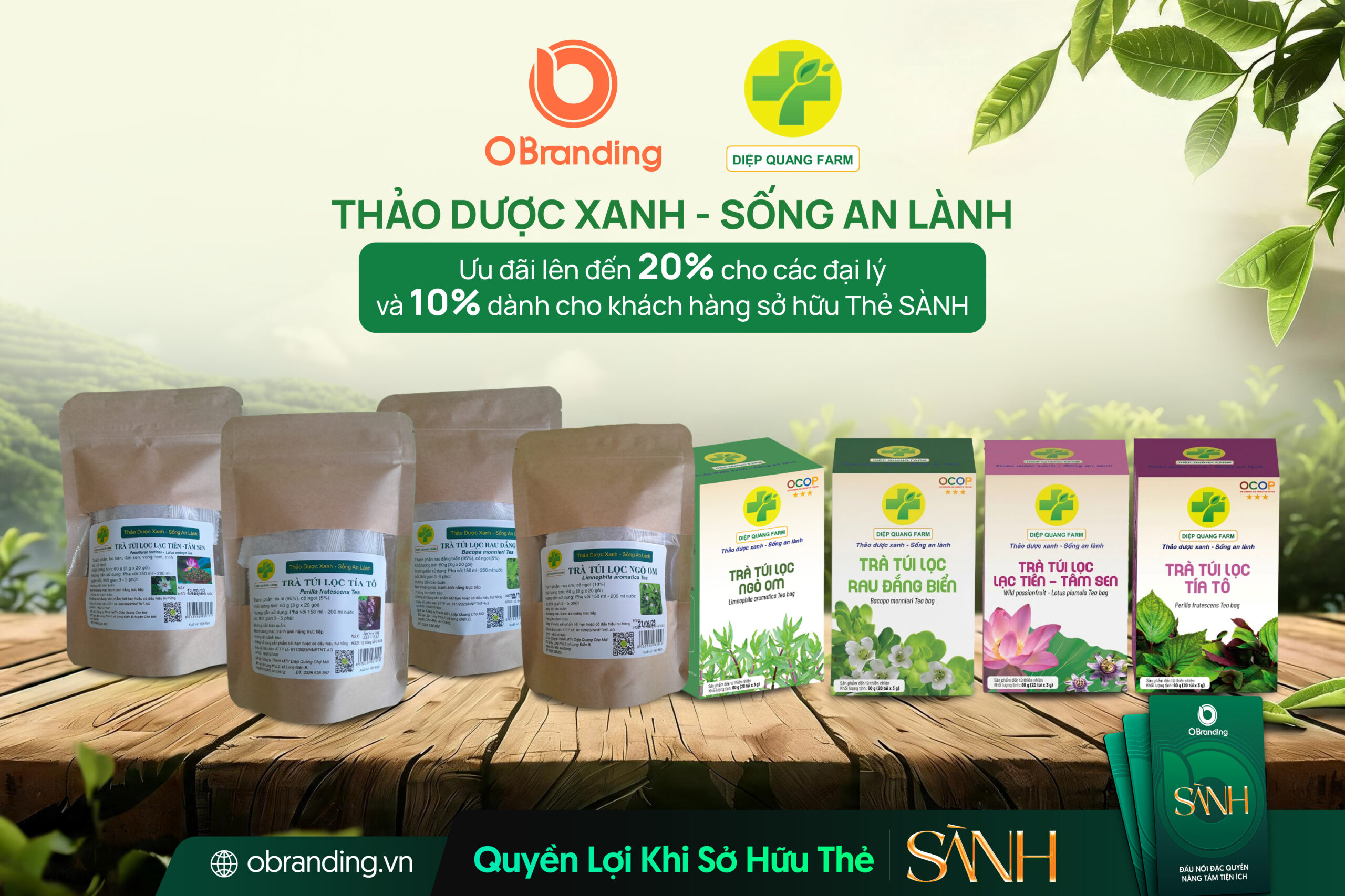 CÔNG TY TNHH MỘT THÀNH VIÊN DIỆP QUANG CHỢ MỚI