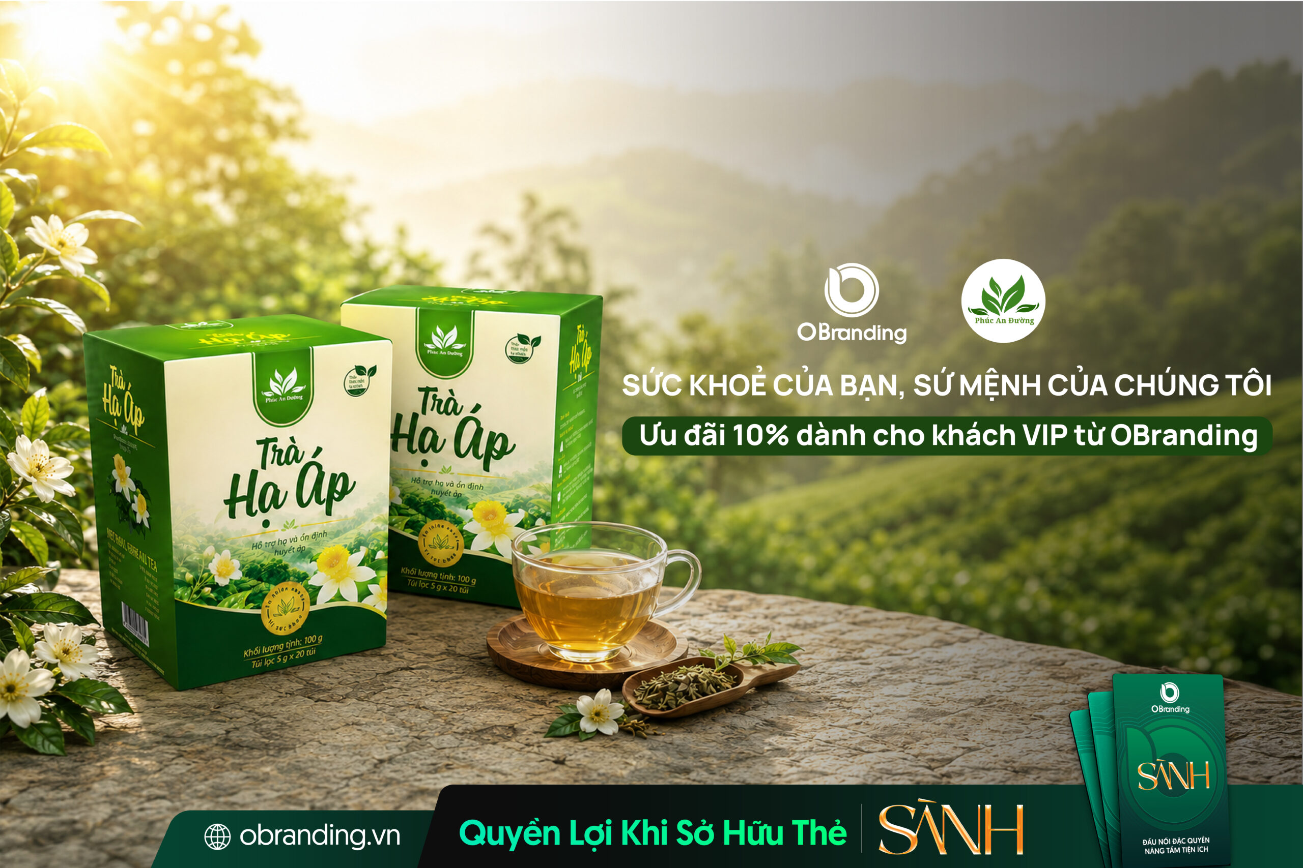 Phúc An Đường - Dịch vụ và sản phẩm Đông y