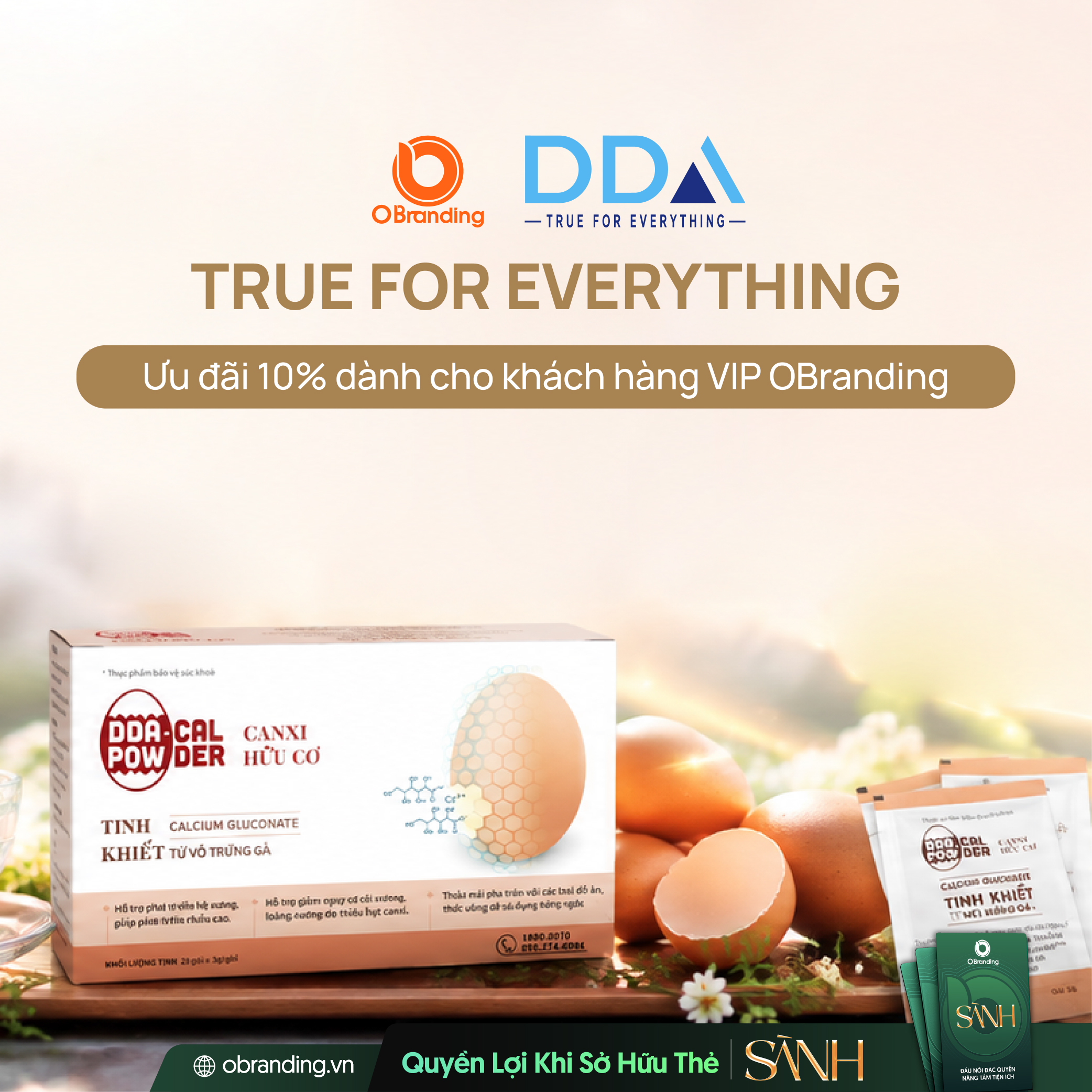 CÔNG TY CỔ PHẦN ĐẦU TƯ DDA VIỆT NAM