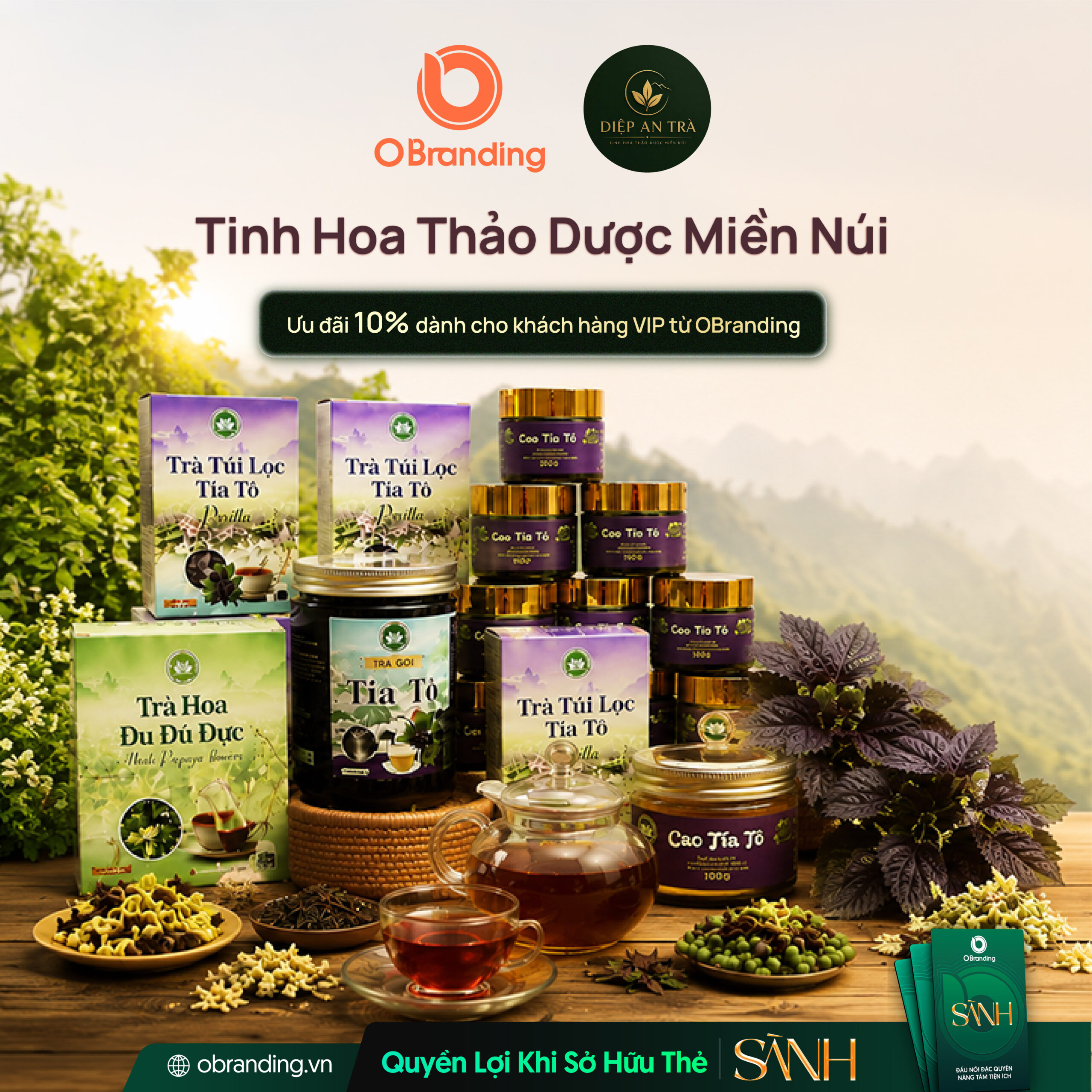 DIỆP AN TRÀ