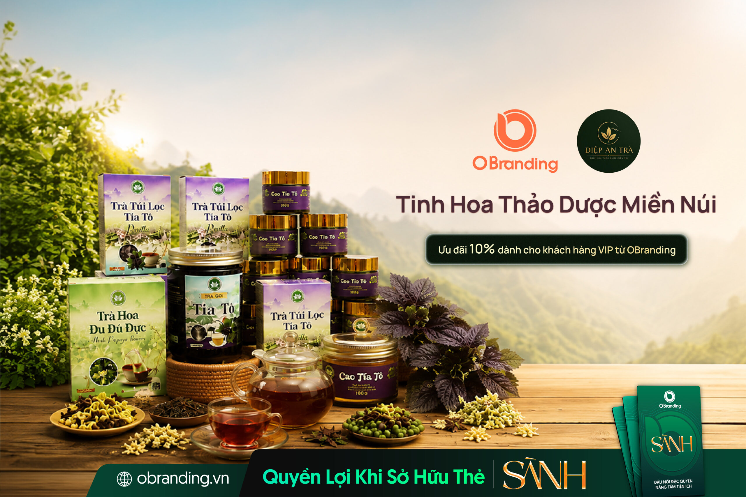 DIỆP AN TRÀ