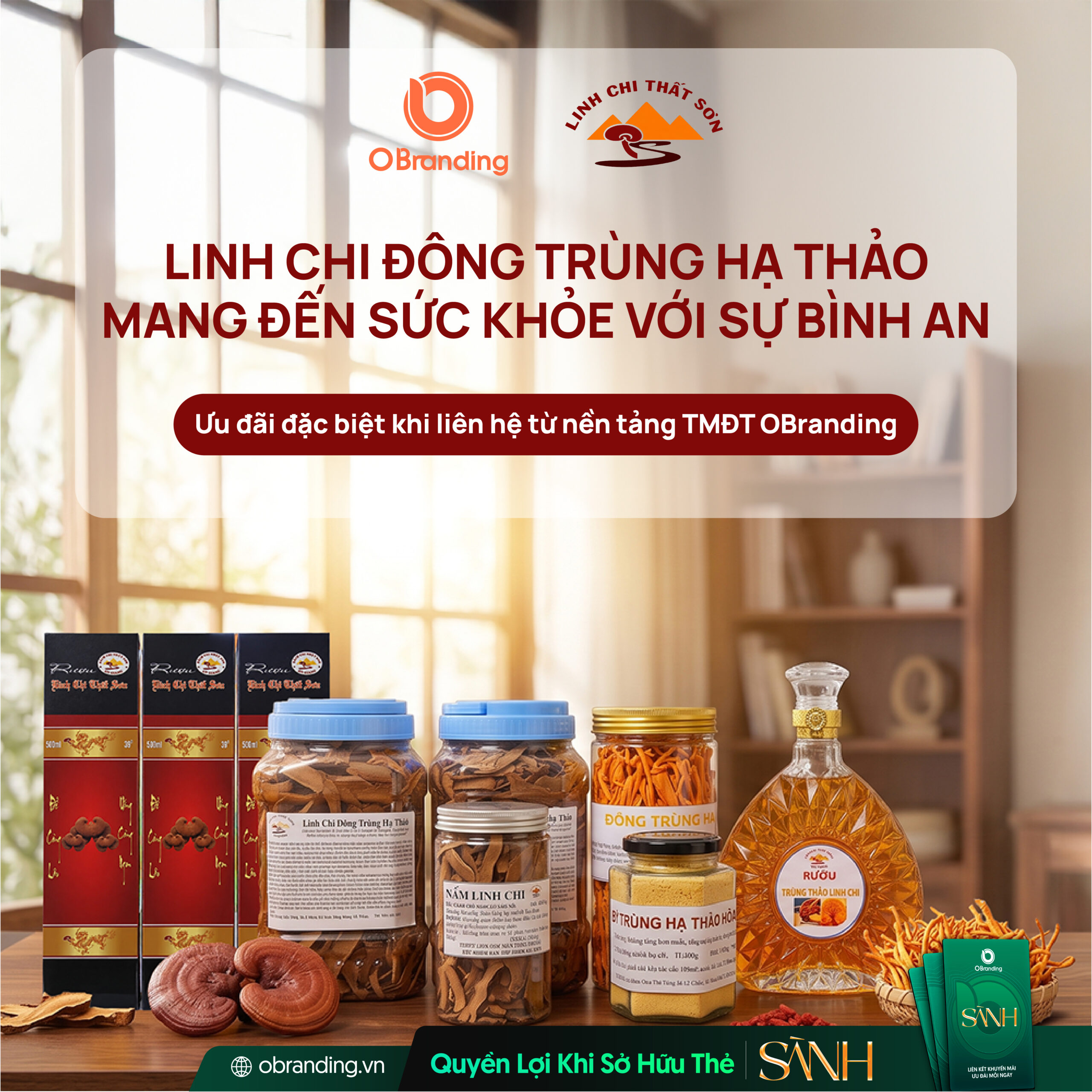 HỘ KINH DOANH CƠ SỞ SẢN XUẤT NẤM VĂN LANG
