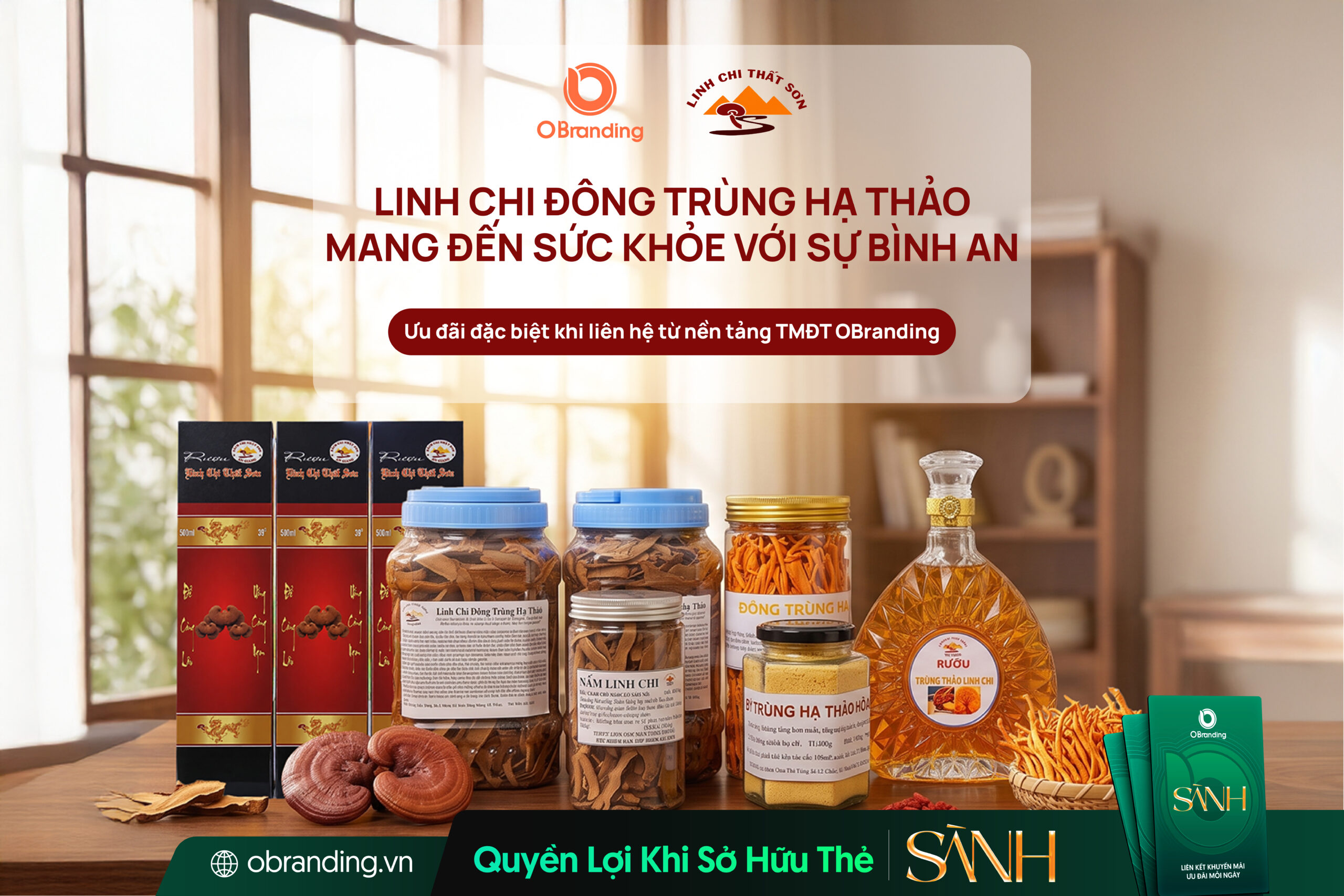 HỘ KINH DOANH CƠ SỞ SẢN XUẤT NẤM VĂN LANG